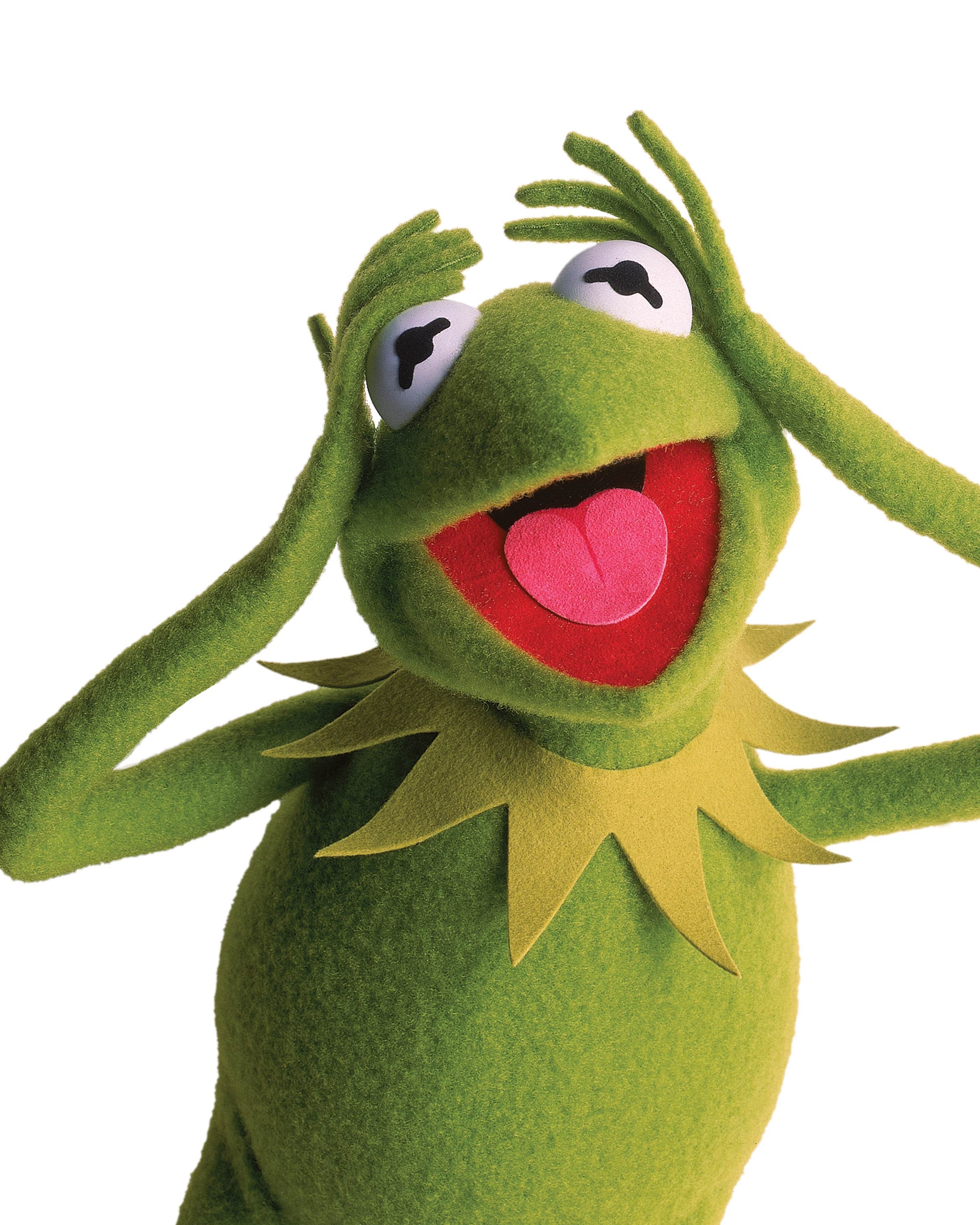 Kermit der Frosch, Muppets, Wallpaper, Frosch, 2400x3000 HD Handy