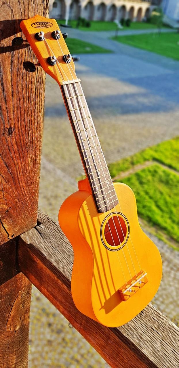 Ukulele spielen, Musik, Akustikinstrument, Hawaii, Gitarre, 630x1280 HD Handy