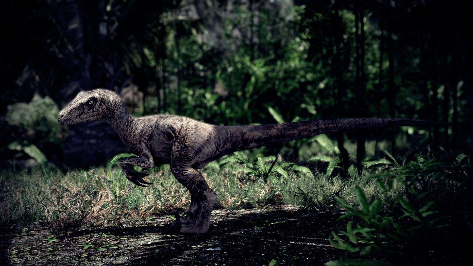 Velociraptor, Dinosaurier, Tier, Hintergrund, 1920x1080 Full HD Desktop