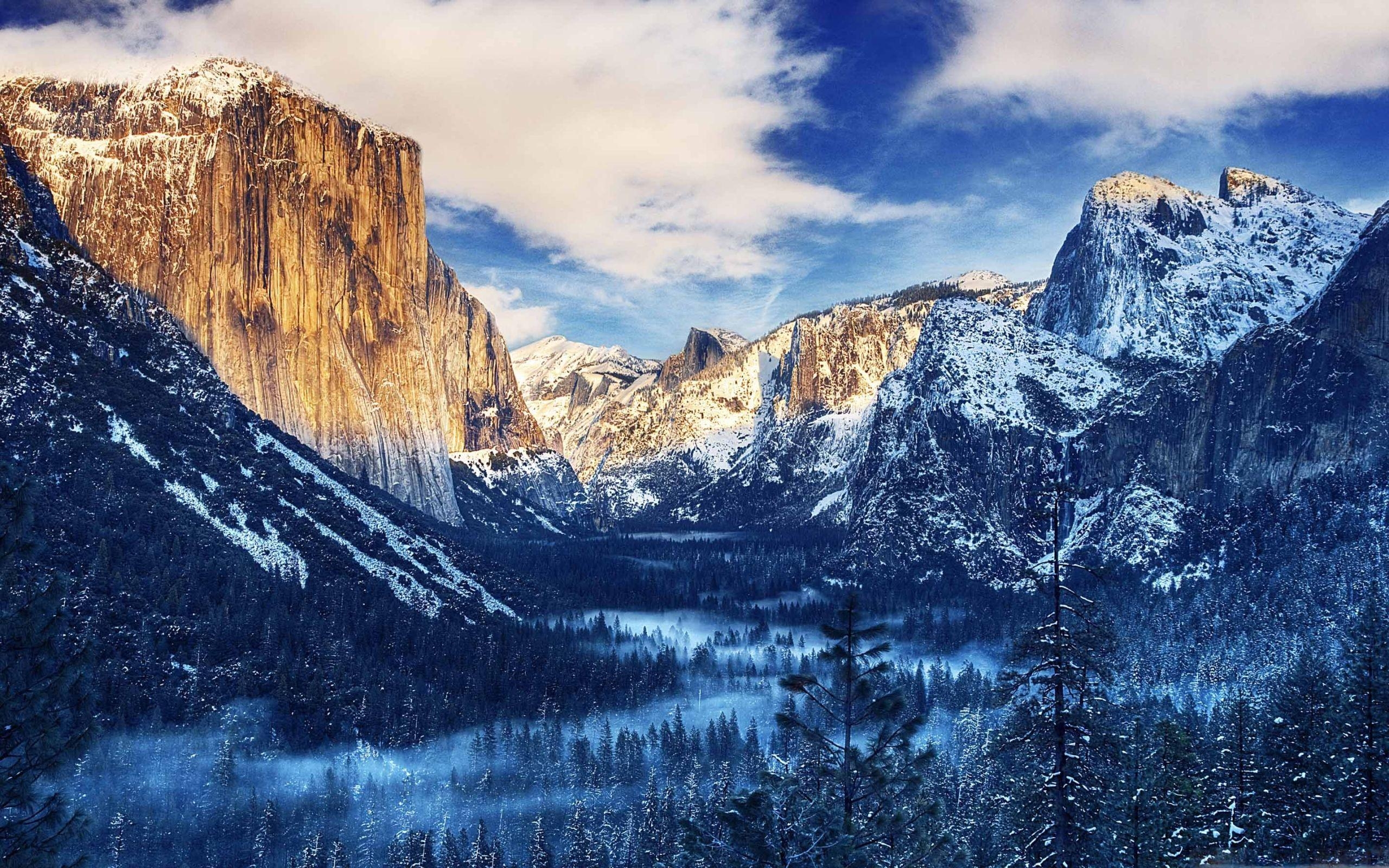 Yellowstone Winter, USA, Mac, Hintergrund, Natur, 2560x1600 HD Desktop