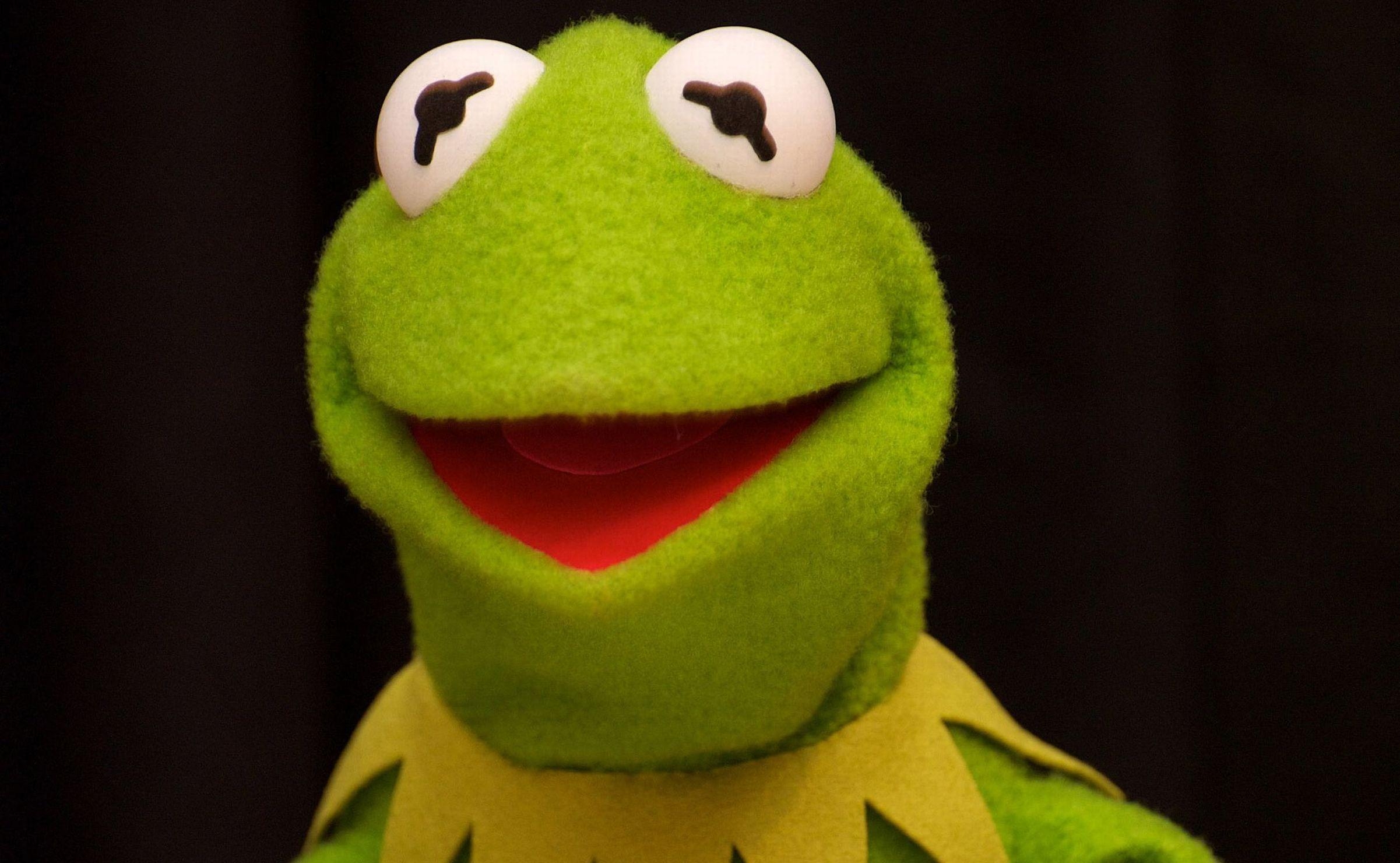 Kermit der Frosch, Meme, Hintergrund, Comic, 2410x1480 HD Desktop