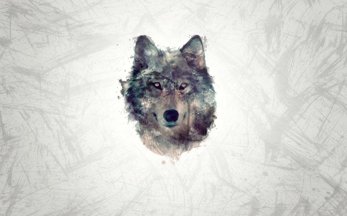 Wolf, Bild, eindrucksvoll, Tierwelt, Natur, 1140x710 HD Desktop