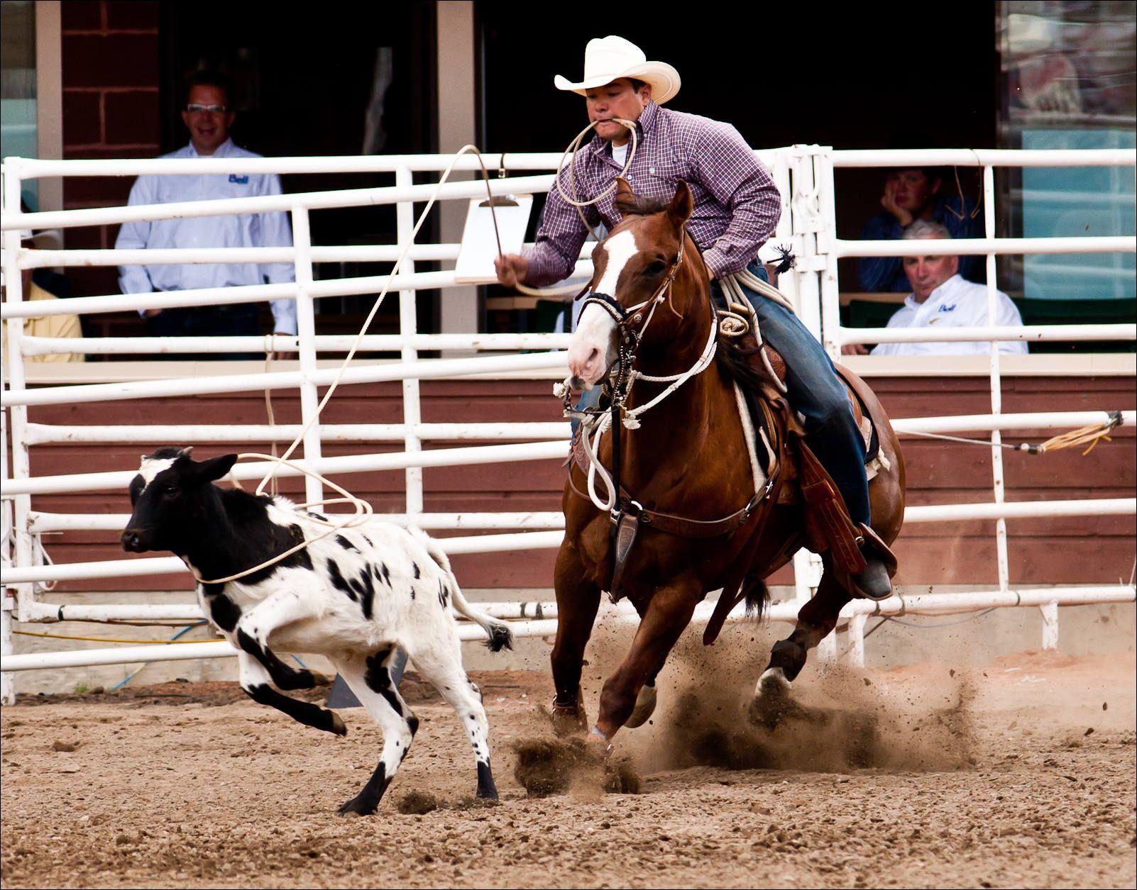 Rodeo Sport, Westerner, Cowboy, Arena, Spannung, 1610x1260 HD Desktop