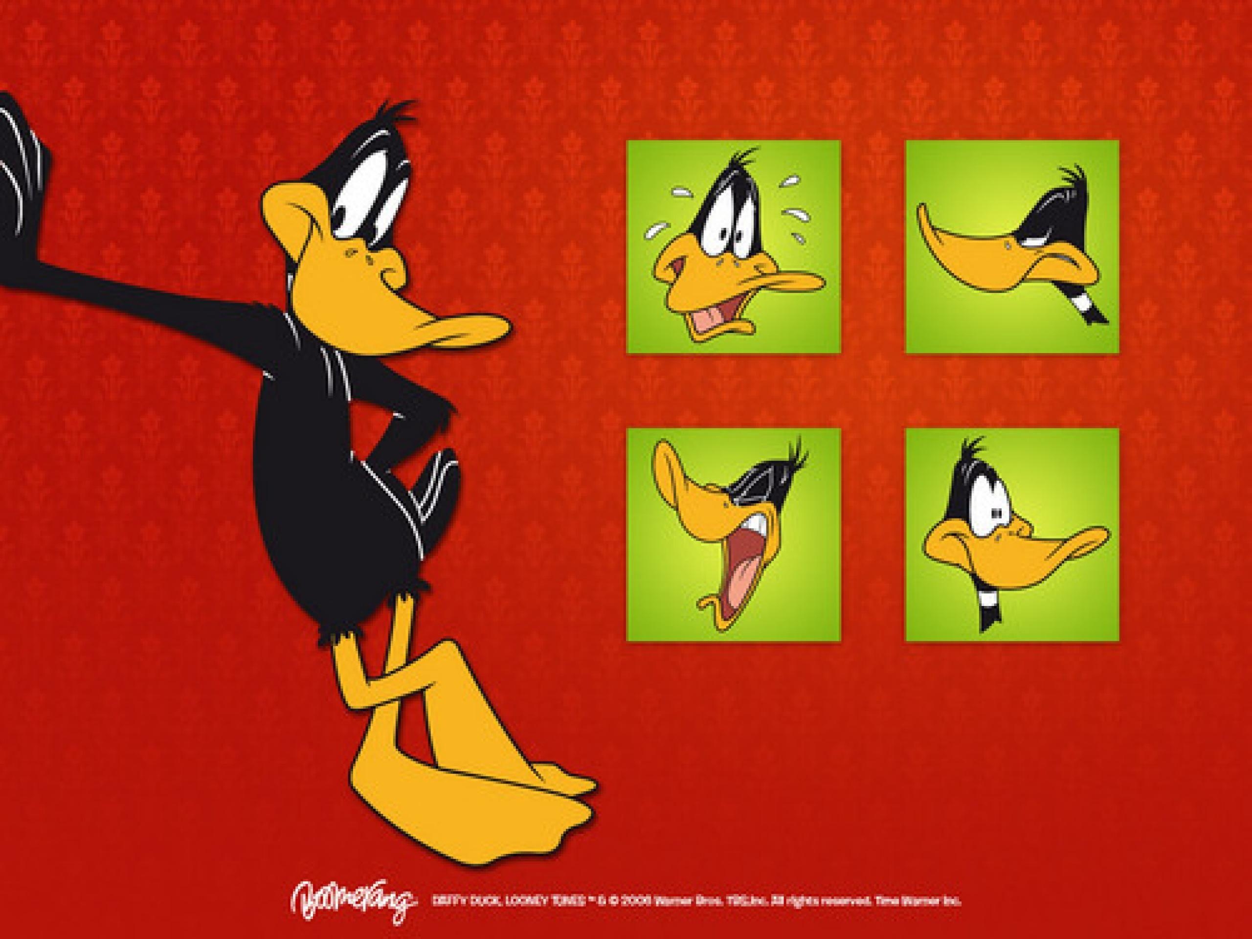 Daffy Duck, HD Bild, Cartoon, Looney Tunes, Hintergrund, 2560x1920 HD Desktop