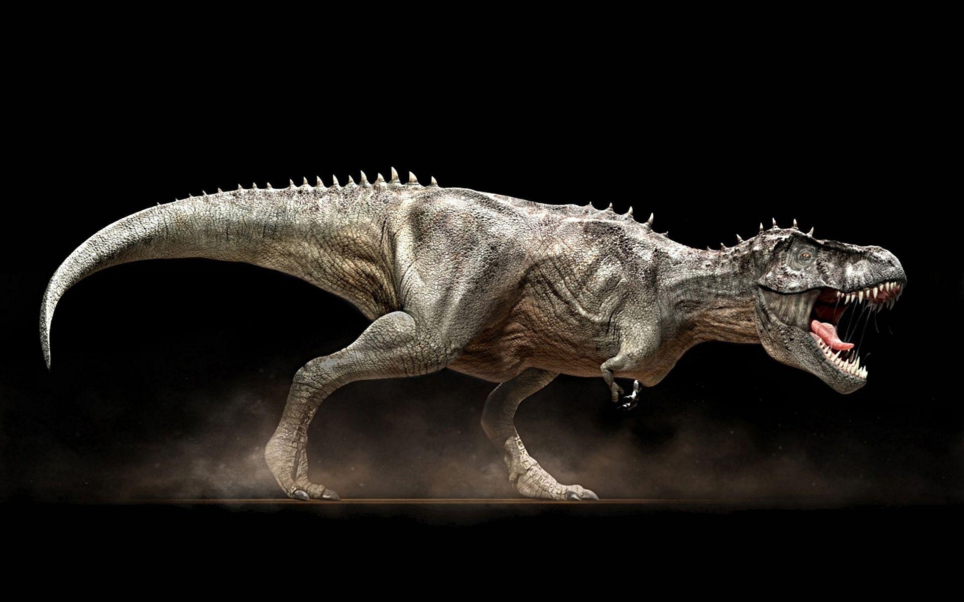 Spinosaurus, Dinosaurier, T-Rex, Kiefer, Vorlage, 1920x1200 HD Desktop