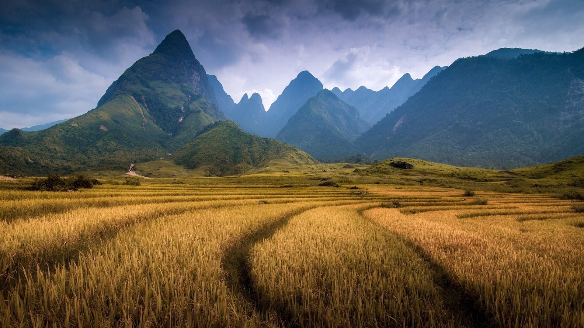 Fansipan, Sapa, Vietnam, Berg, Landschaft, 1920x1080 Full HD Desktop