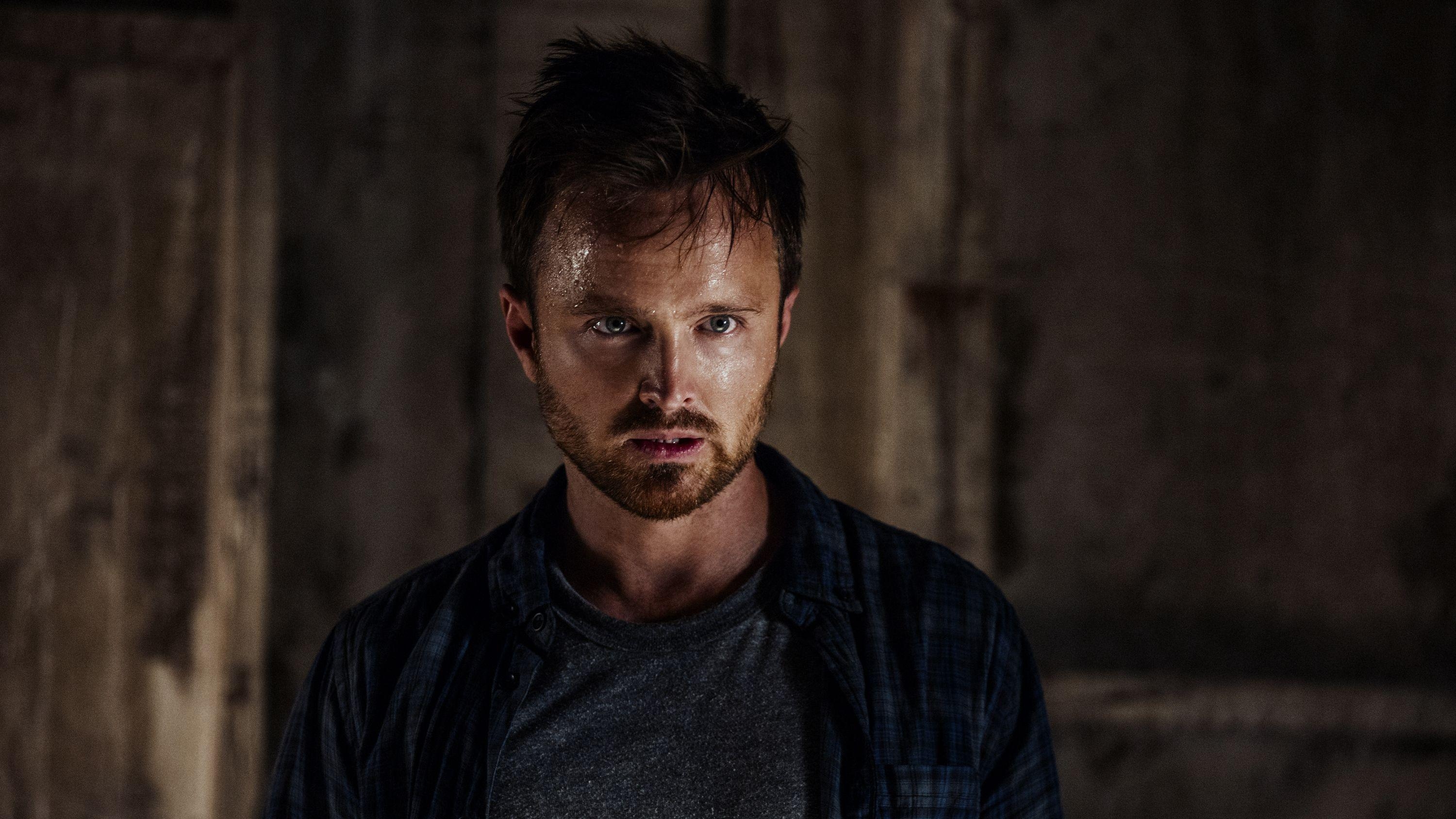 Aaron Paul, Eddie Cleary, HD, TV Serie, Schauspieler, 3000x1690 HD Desktop