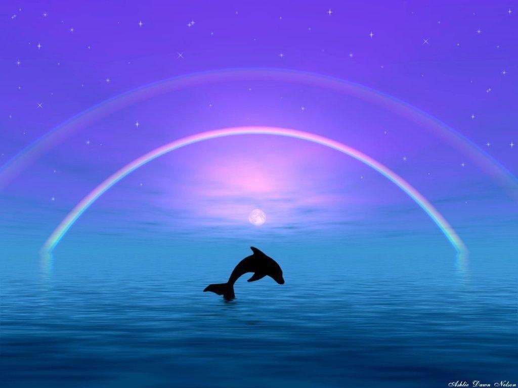 Delfin, Hintergrund, Meer, Breitbild, Farbe, 1030x770 HD Desktop