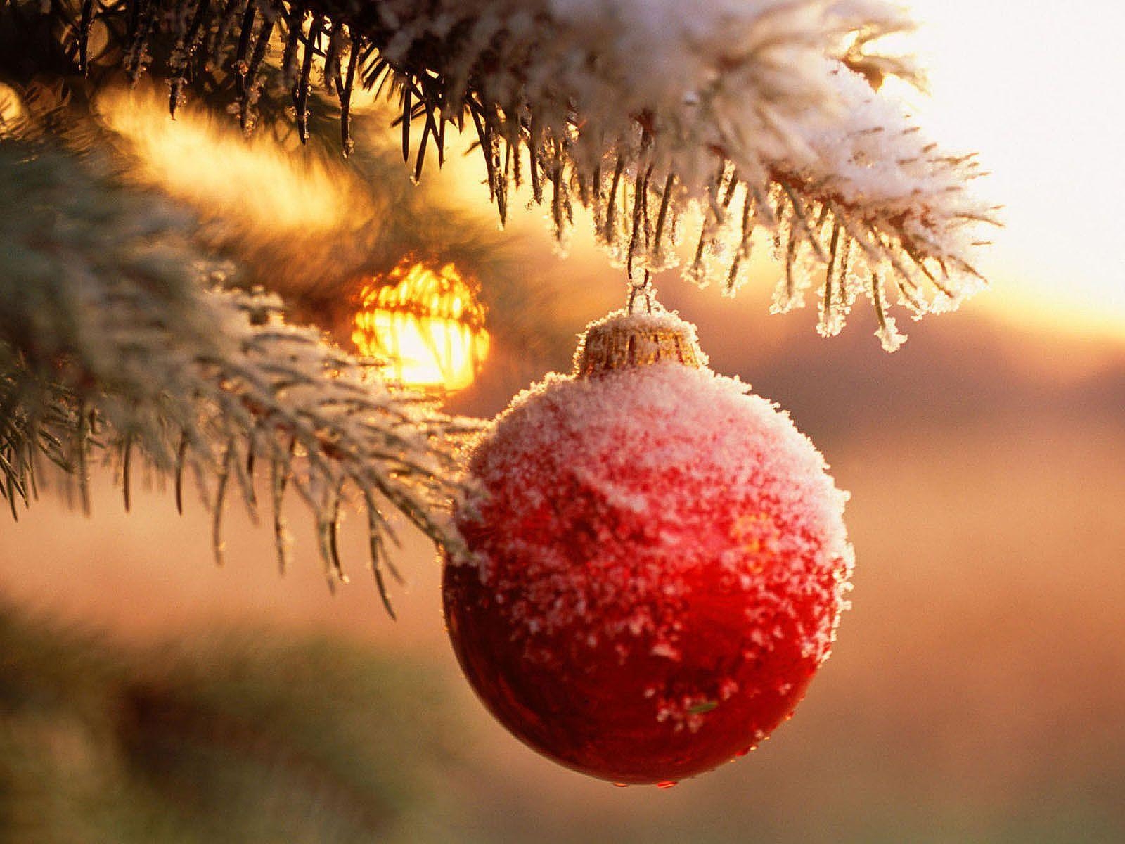 Weihnachtsdekoration, Feiertag, Ornament, Festlich, 1600x1200 HD Desktop