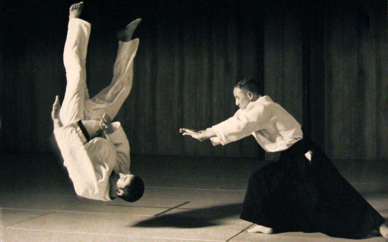 Aikido, Selbstverteidigung, Philosophie, Kampfkünste, Guy, 1280x800 HD Desktop