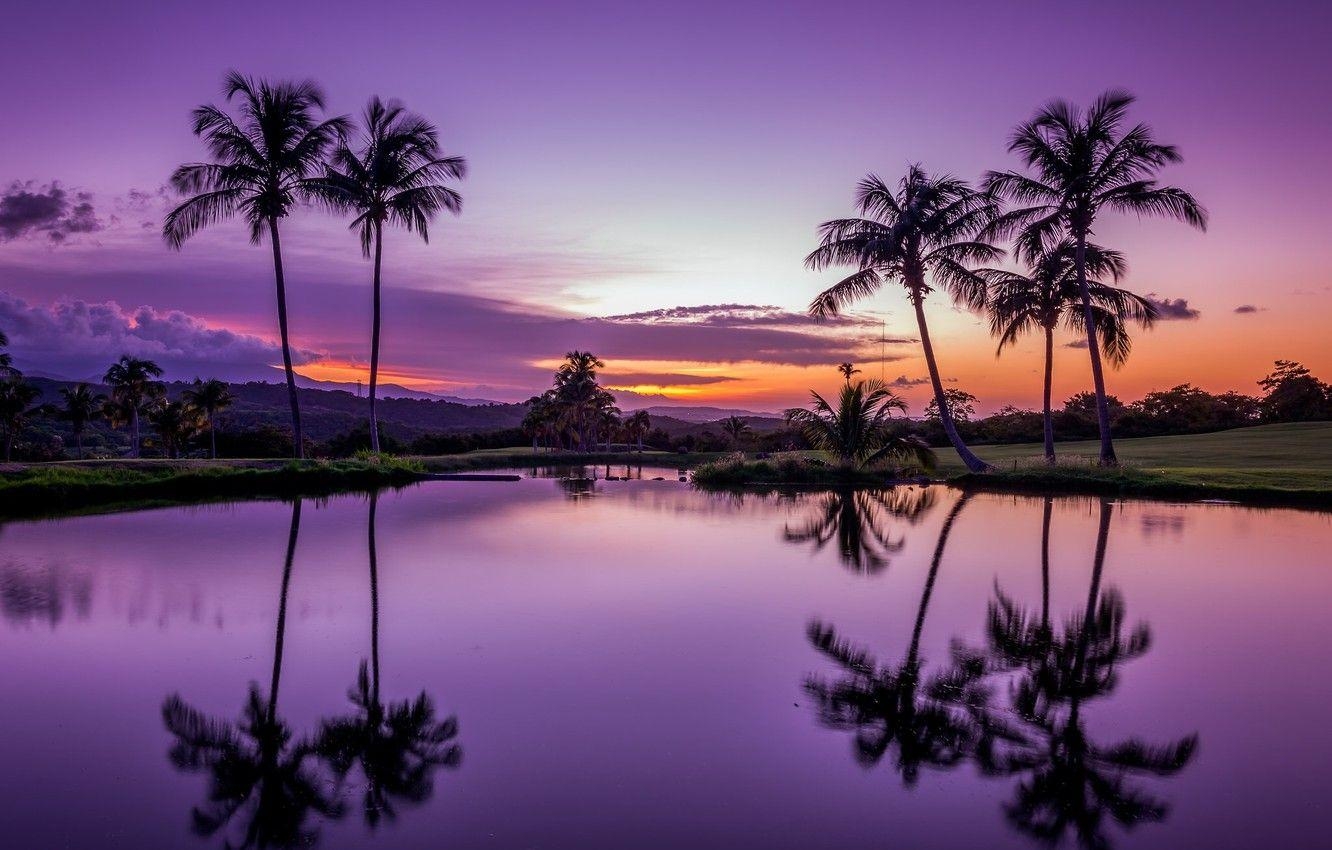 Puerto Rico, Wasser, Sonnenuntergang, Palmen, Spiegelung, 1340x850 HD Desktop