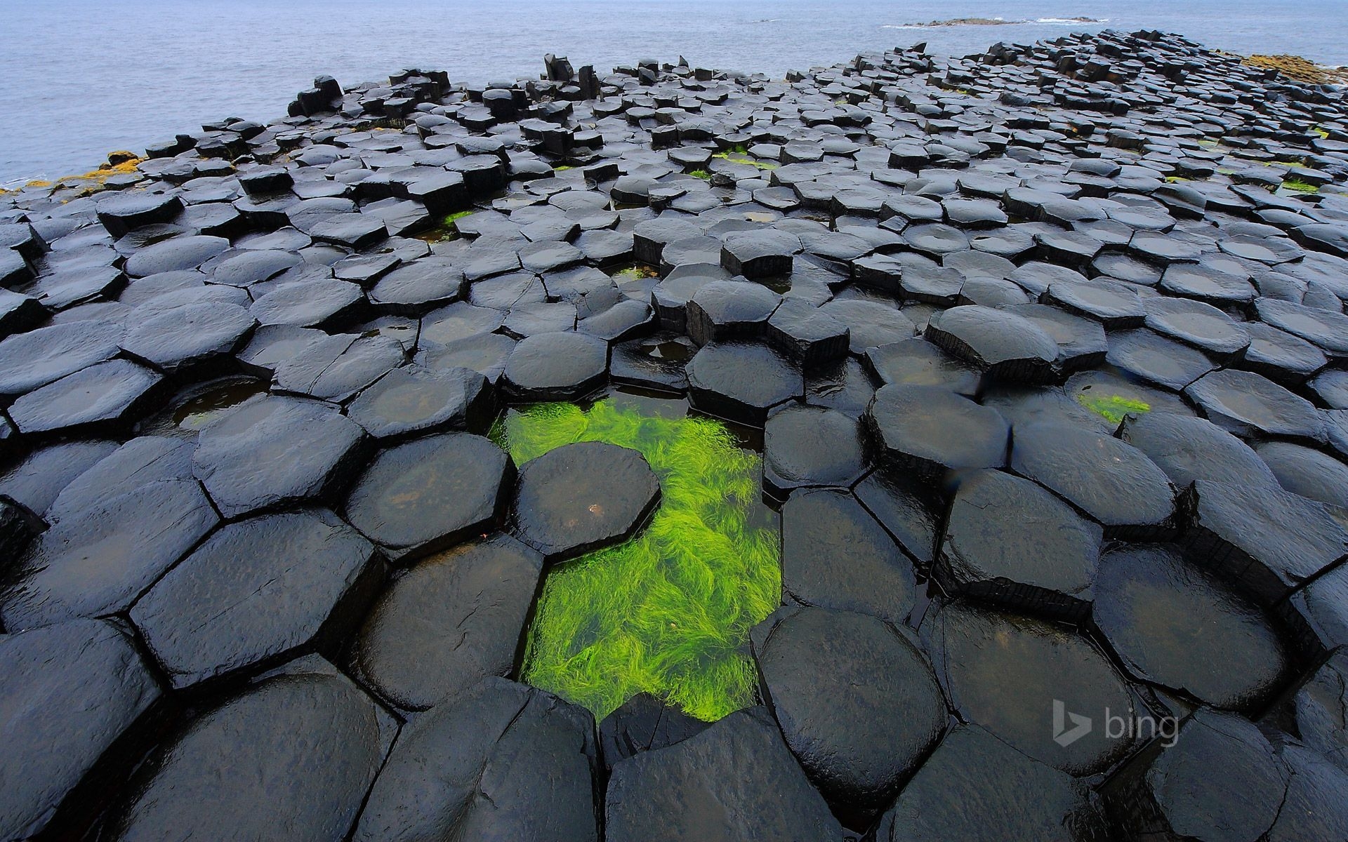 Giants Causeway, Foto, Nordirland, Landschaft, Highlight, 1920x1200 HD Desktop