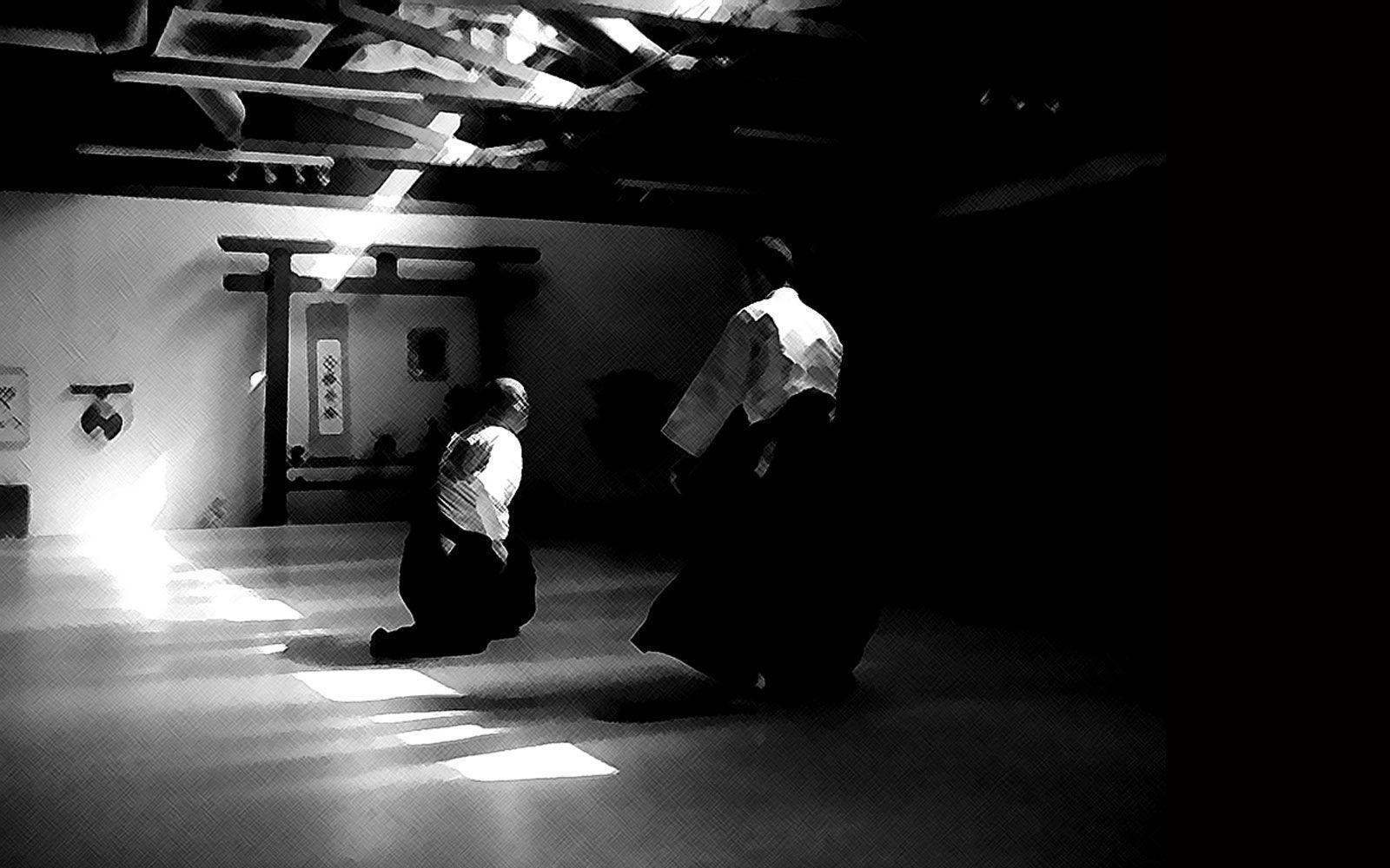 Aikido, Sport, Künstlerisch, Kampfkunst, Japan, 1600x1000 HD Desktop