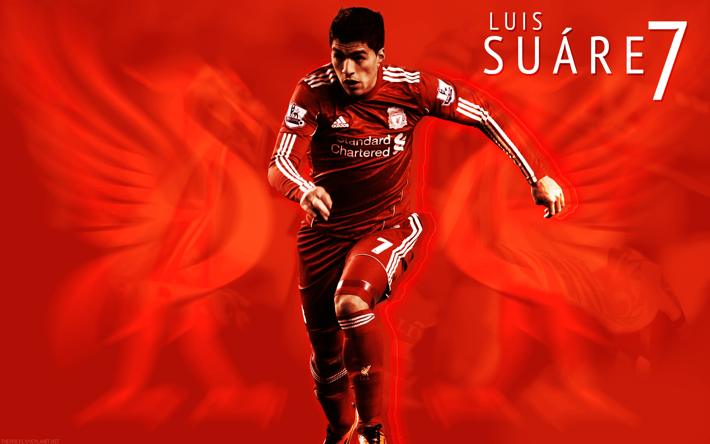 Luis Suárez, Liverpool, Video, Bester, Fußball, 1440x900 HD Desktop