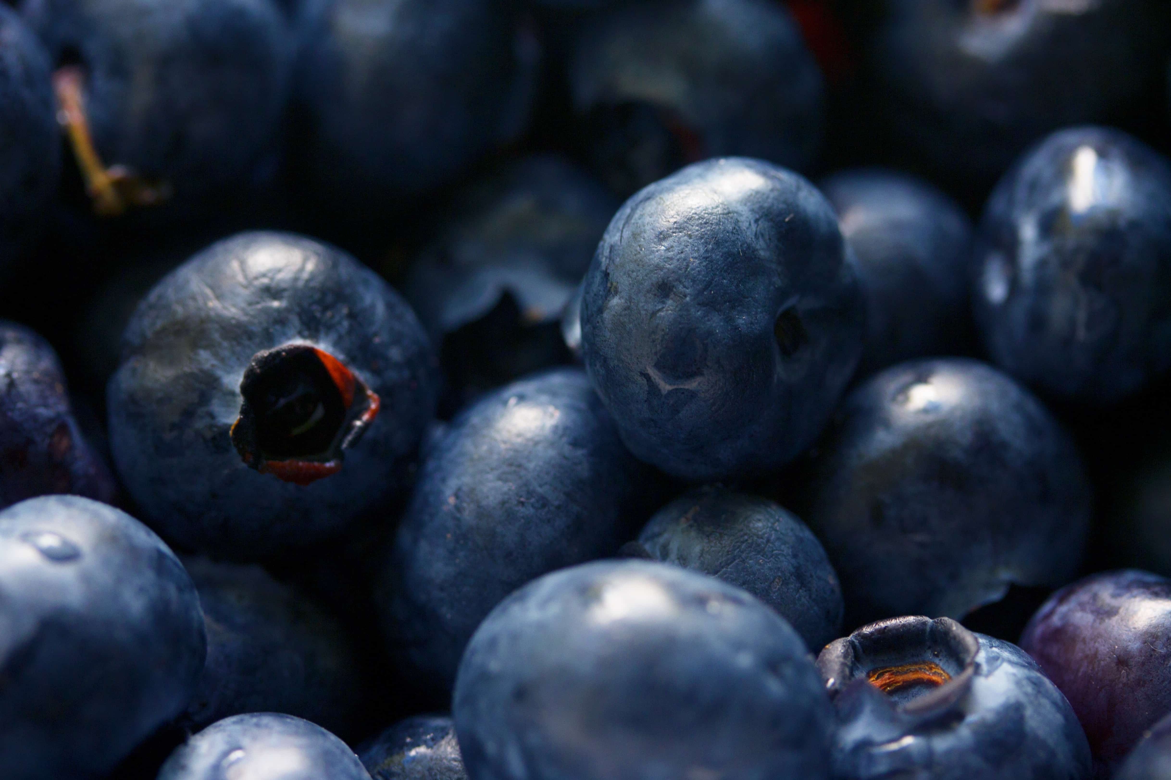 Blaubeeren, Hintergrund, Schreibtisch, Obst, Frisch, 4880x3250 4K Desktop