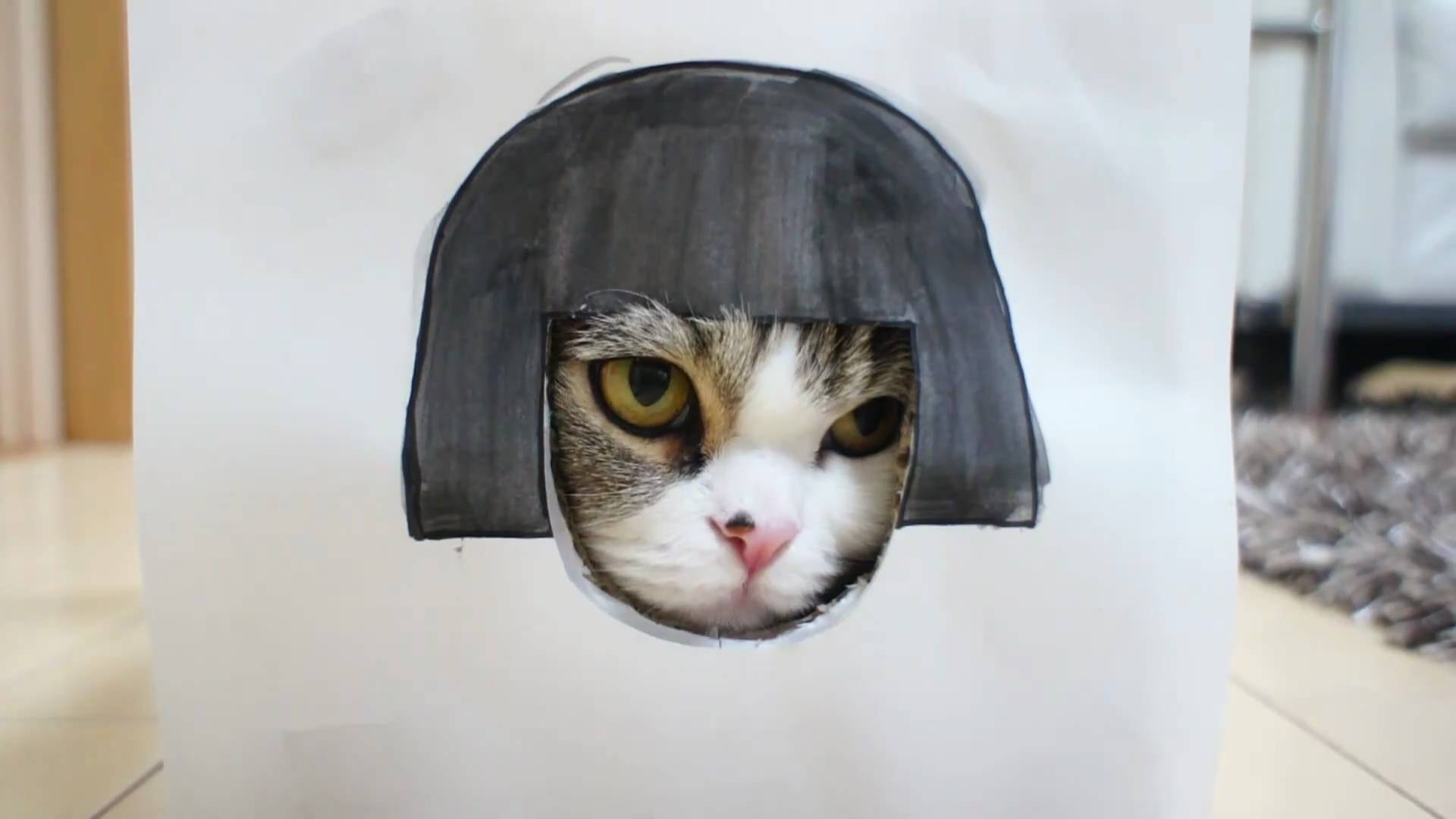 Maru Katze, Frisuren, Kreativ, Spaß, Japan, 1920x1080 Full HD Desktop