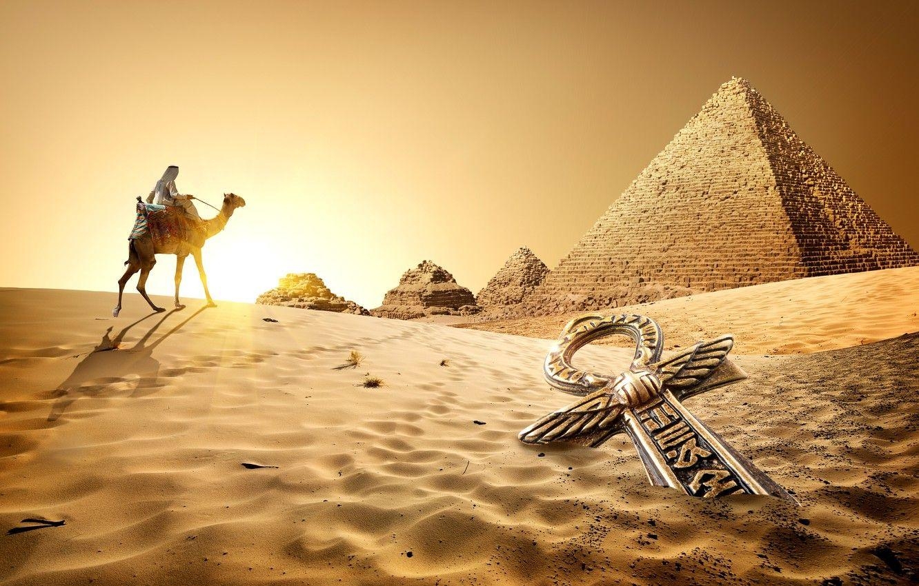 Ägypten Reisen, Sand, Kamele, Sonnenaufgang, Wüste, 1340x850 HD Desktop
