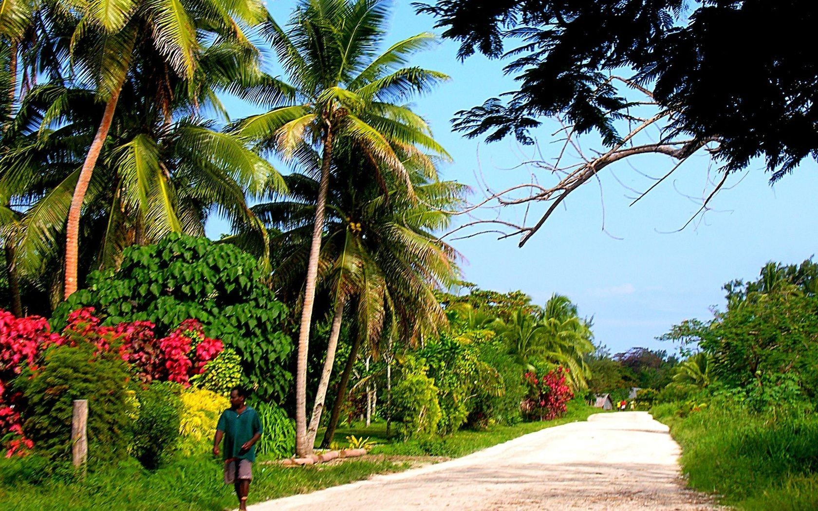 Vanuatu, Landschaft, Desktop, Bild, Strand, 1680x1050 HD Desktop