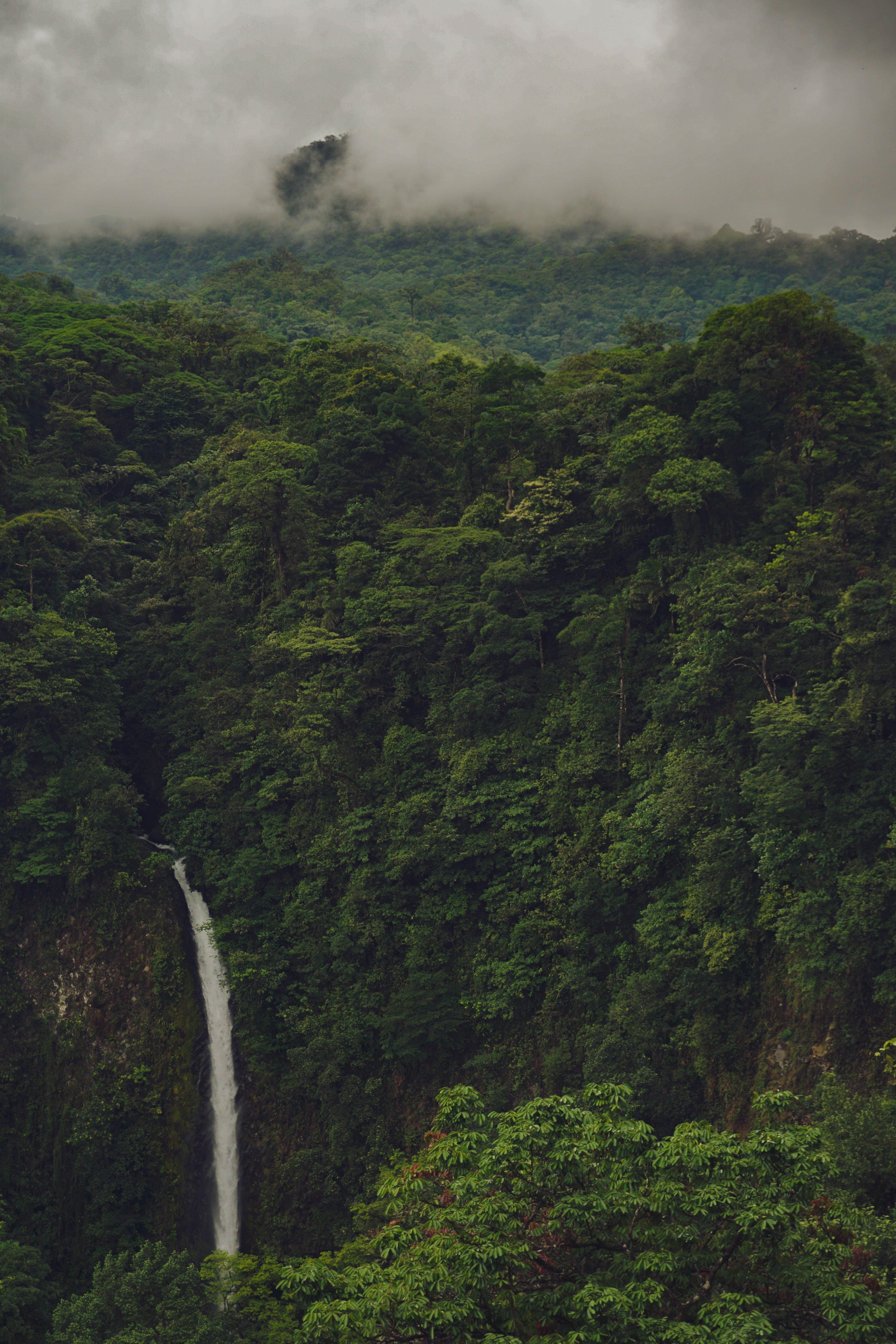 Costa Rica, Smartphone, Hintergrund, Foto, Reisen, 4000x6000 4K Handy