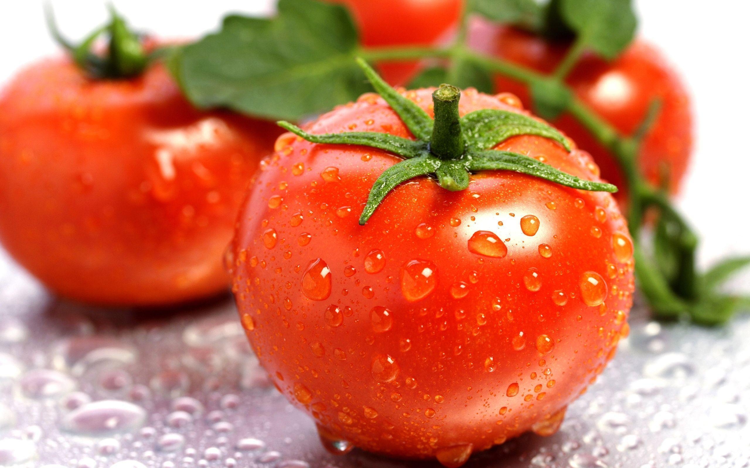 Tomate, Hintergrund, Bild, Gemüse, Essen, 2560x1600 HD Desktop