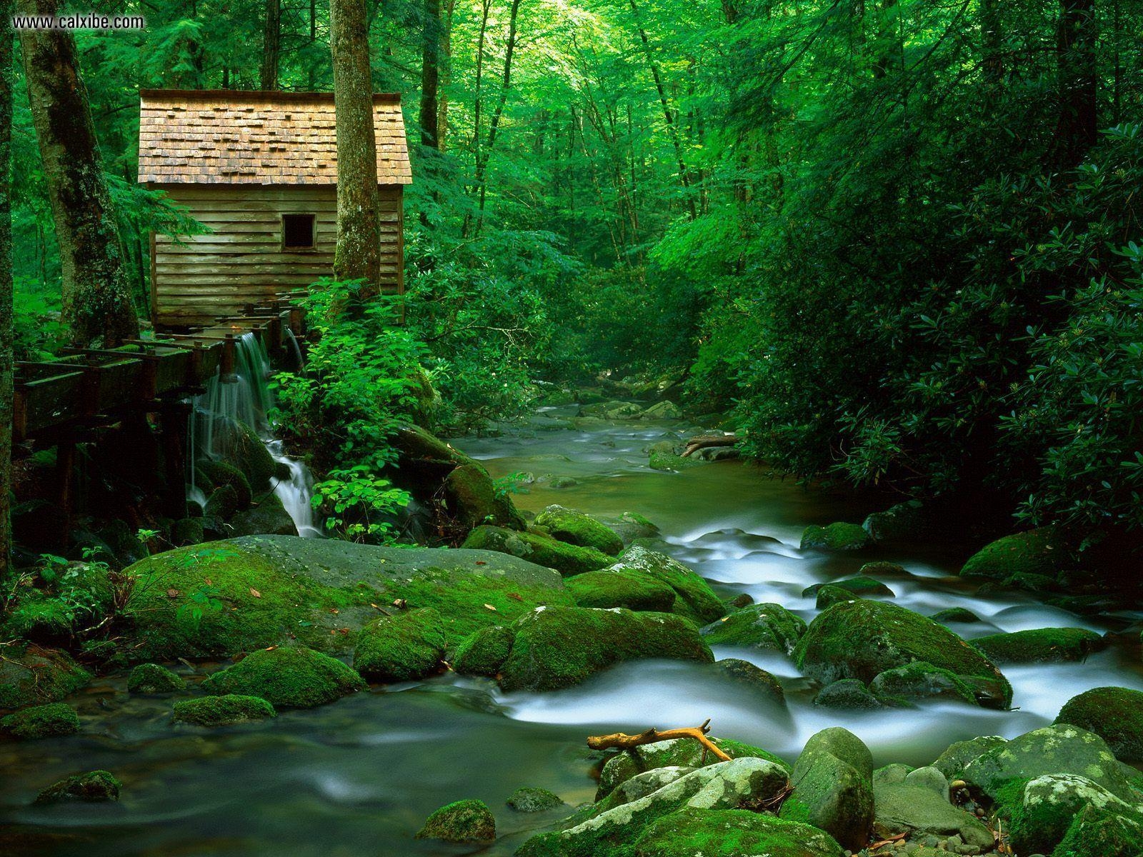 Reagan Mühle, Natur, Tennessee, Nationalpark, USA, 1600x1200 HD Desktop