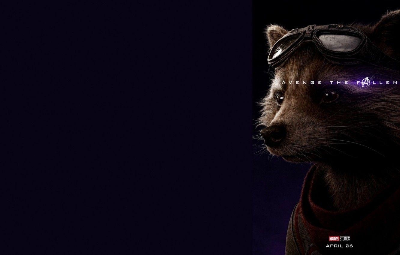 Rocket Raccoon, Avengers: Endgame, Bild, Marvel, Film, 1340x850 HD Desktop