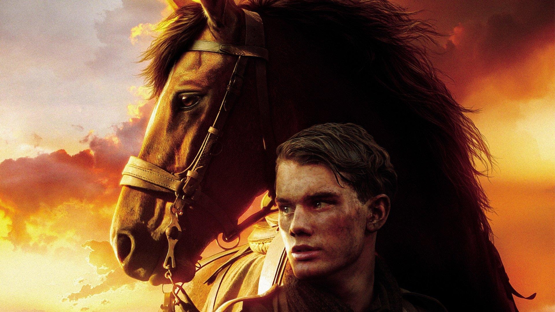 War Horse, HD, Hintergrund, Bild, x1080, 1920x1080 Full HD Desktop