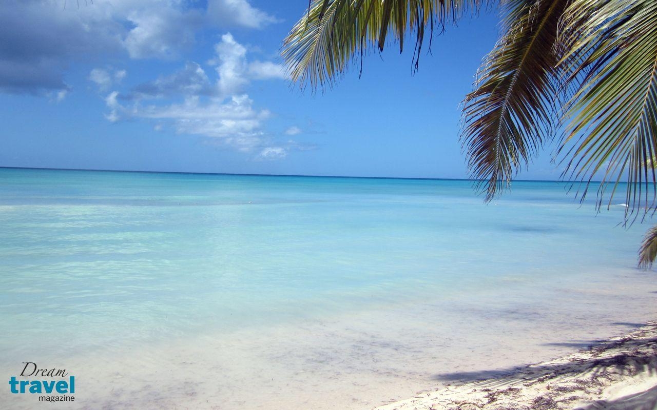 Kostenlos, Desktop, Punta Cana, Strand, Dominikanische Republik, 1280x800 HD Desktop