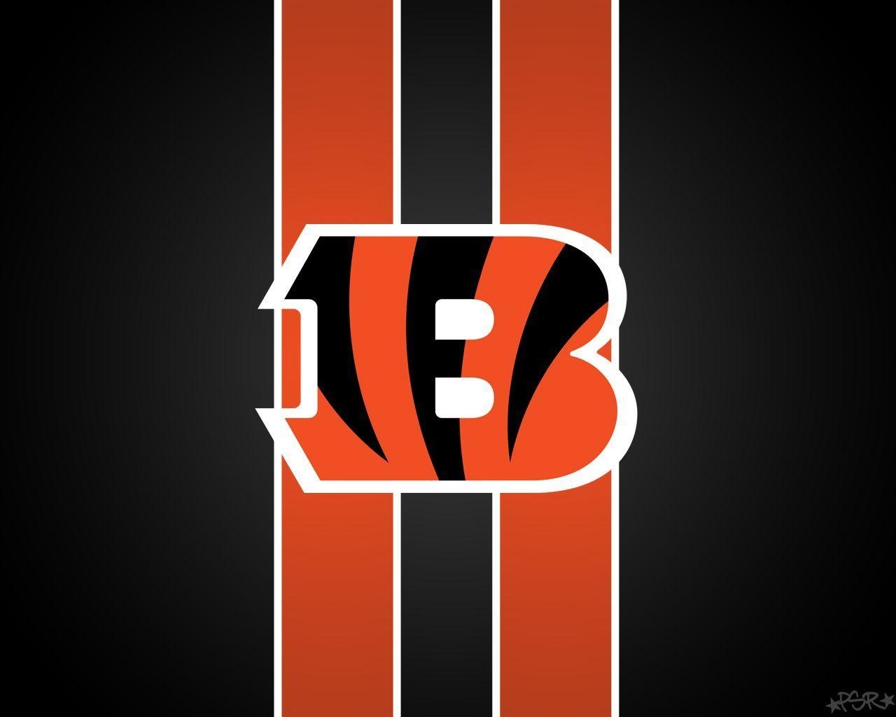 Cincinnati Bengals, Wallpaper, NFL, Hintergrund, 1280x1030 HD Desktop