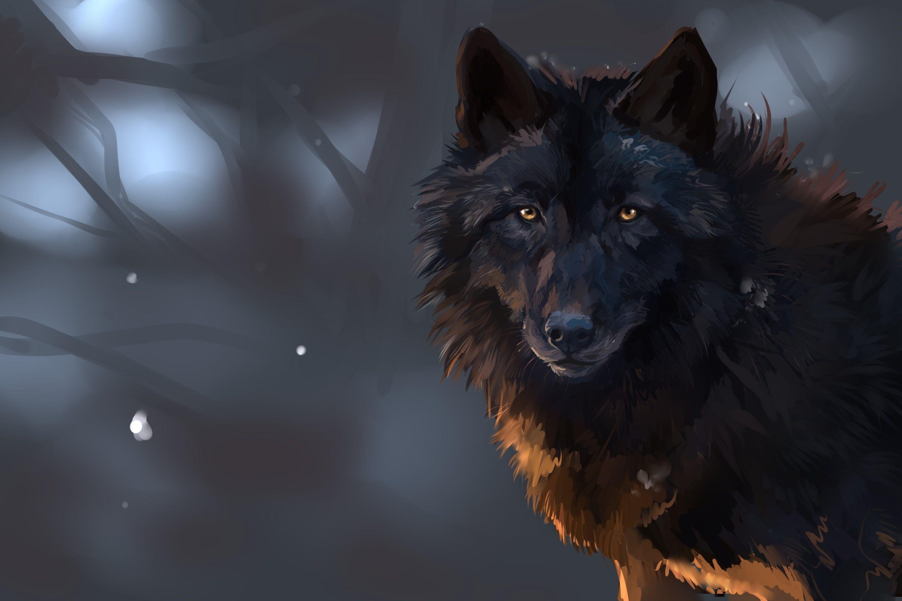 Dunkler Wolf, Hintergrund, Nacht, Bild, Fantasie, 3000x2000 HD Desktop