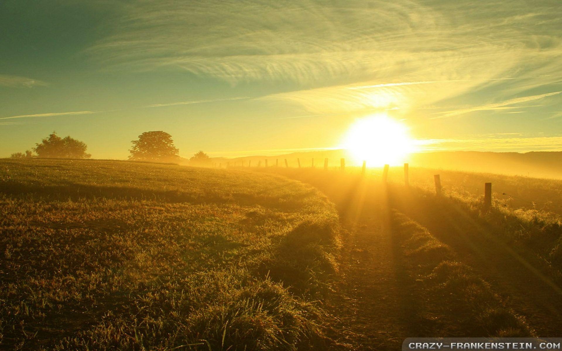 Sommersonne, Natur, Landschaft, Hintergrund, Wärme, 1920x1200 HD Desktop