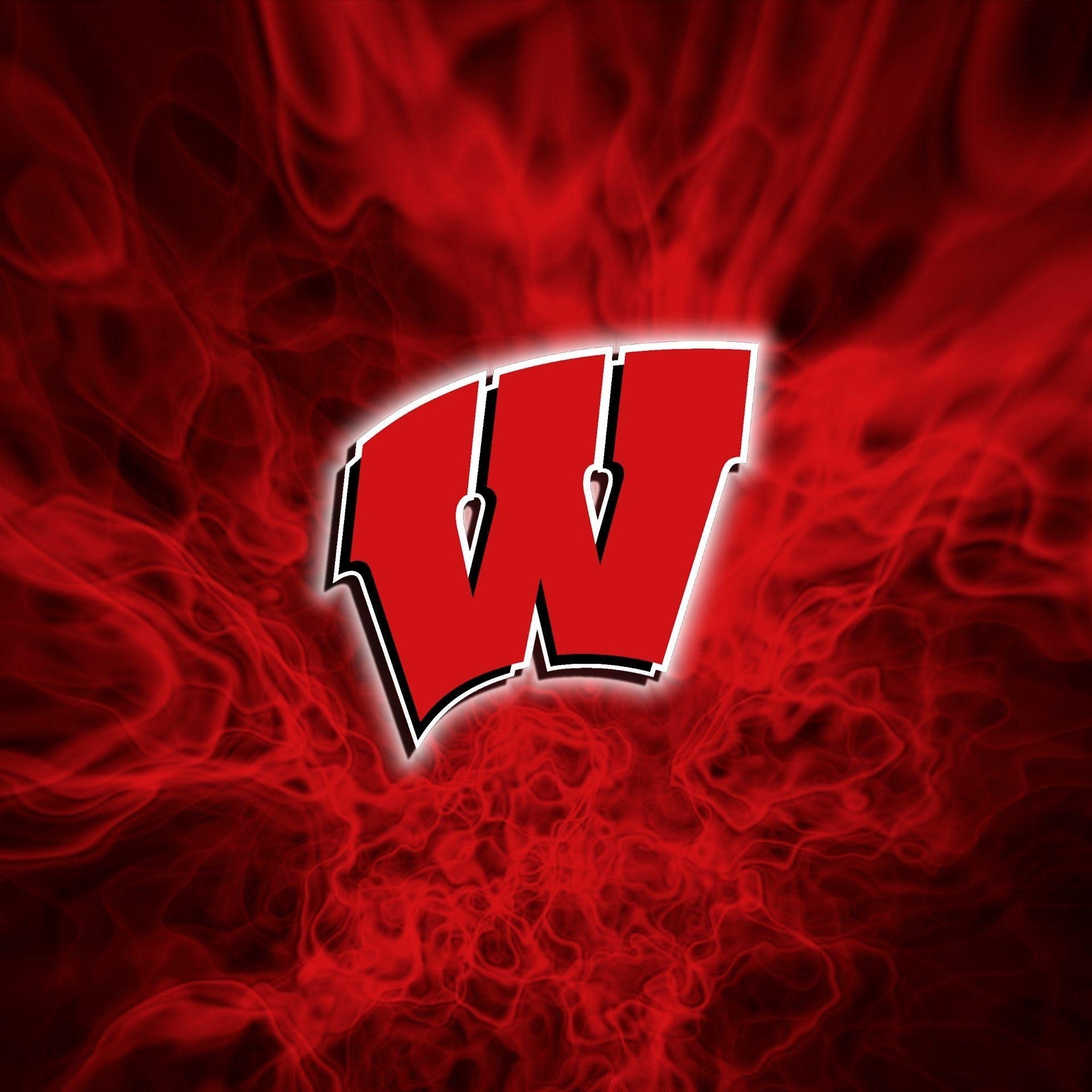 Wisconsin, Dachs, Sport, Kunst, Team, 1920x1920 HD Handy