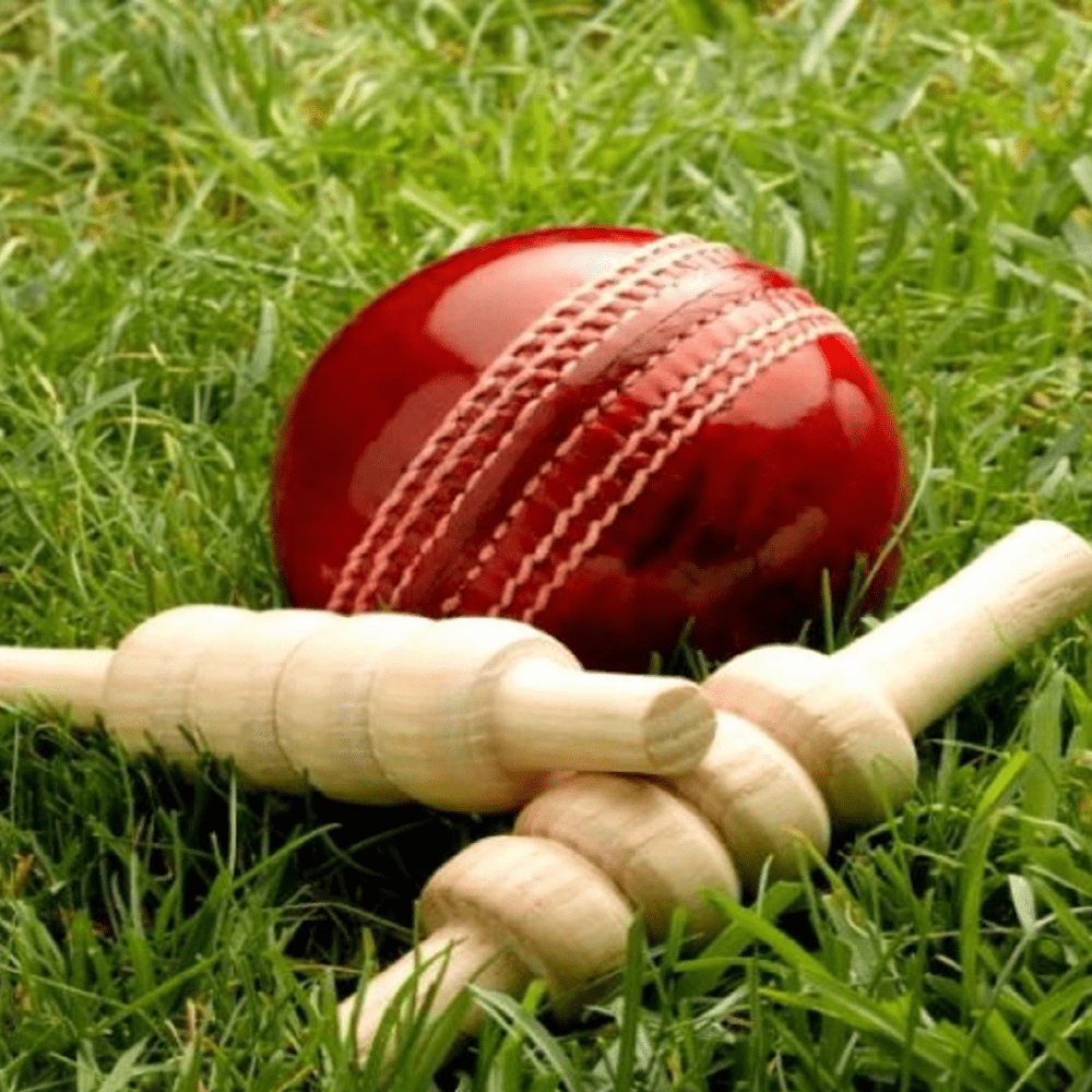 Cricket Reise, Rezepte, Spiele, Sport, Bilder, 1000x1000 HD Handy