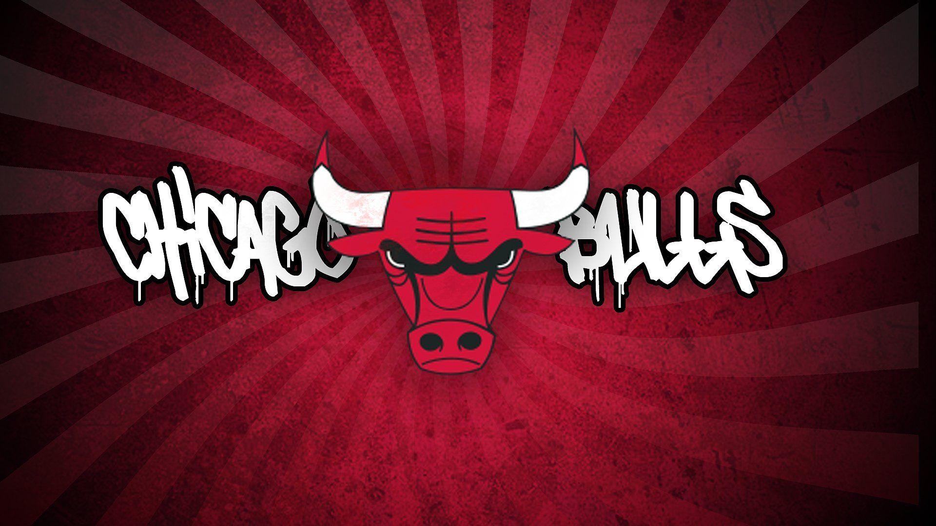 Chicago Bulls, HD, Sportvergnügen, Fans, Spielfeld, 1920x1080 Full HD Desktop