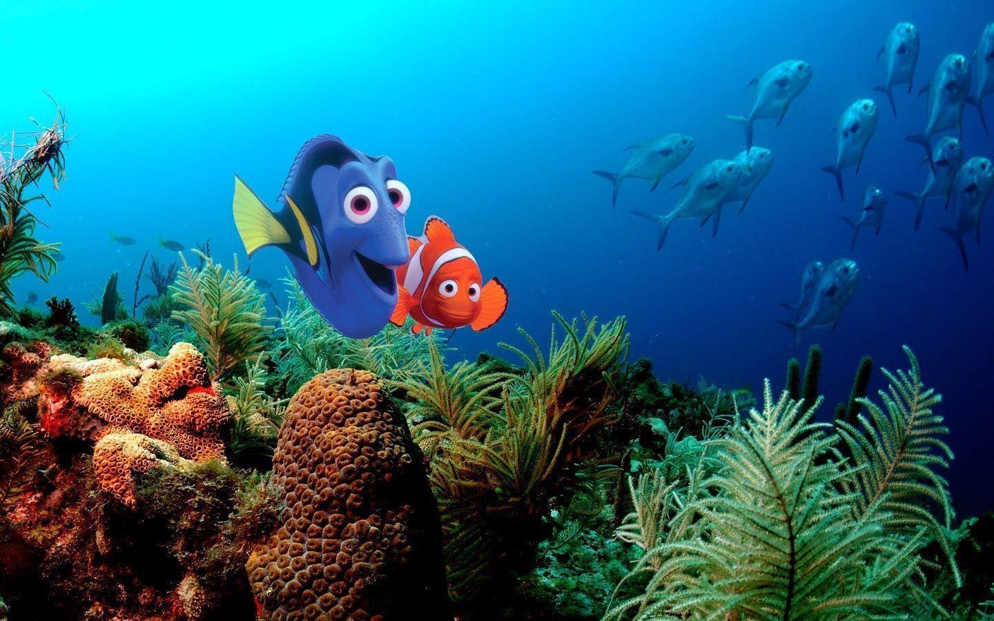 Findet Nemo, Disney, Pixar, Wallpaper, Unterwasserwelt, 1440x900 HD Desktop