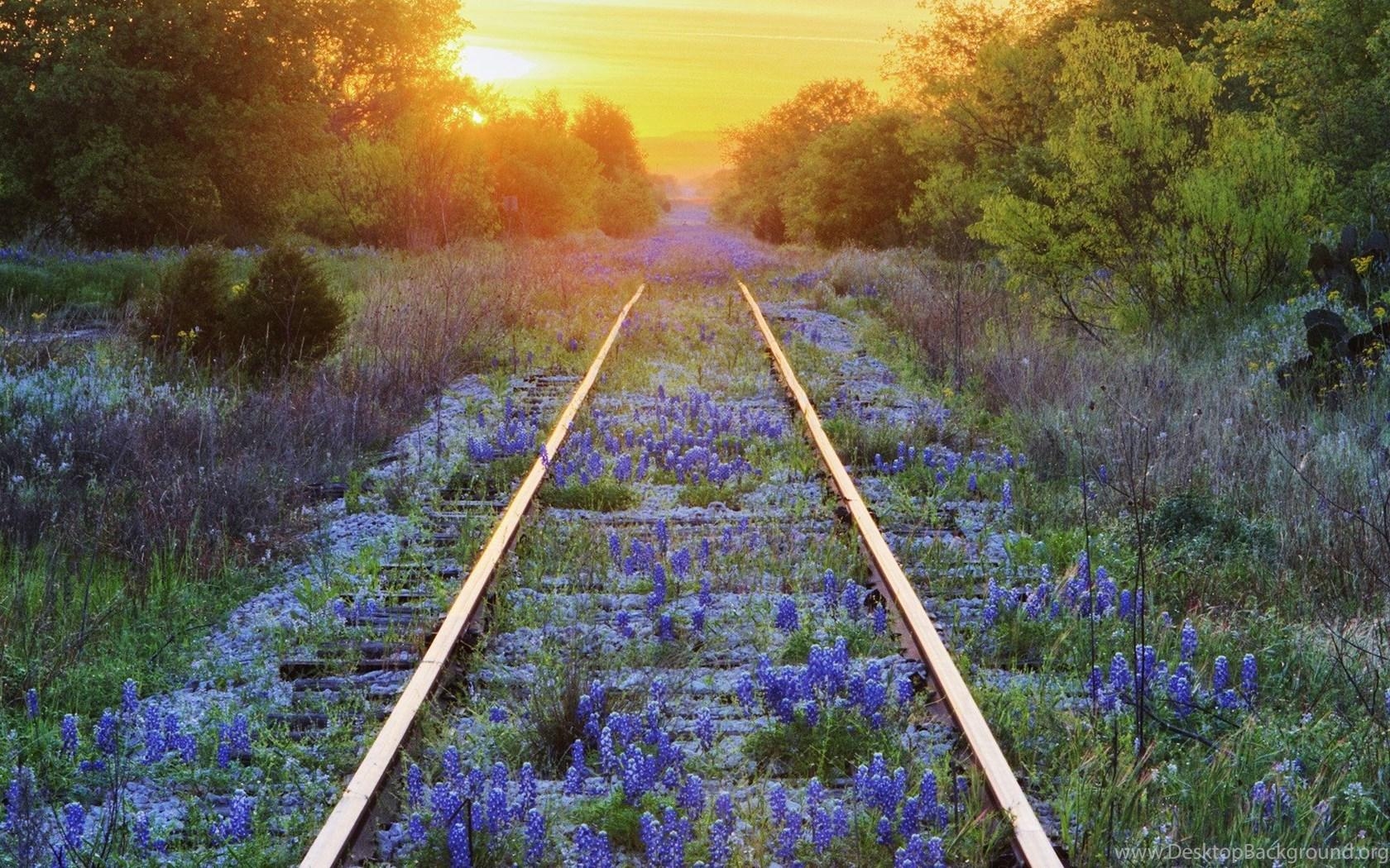 Texas, Eisenbahnschienen, Bluebonnet Blumen, Hintergrund, Landschaft, 1680x1050 HD Desktop