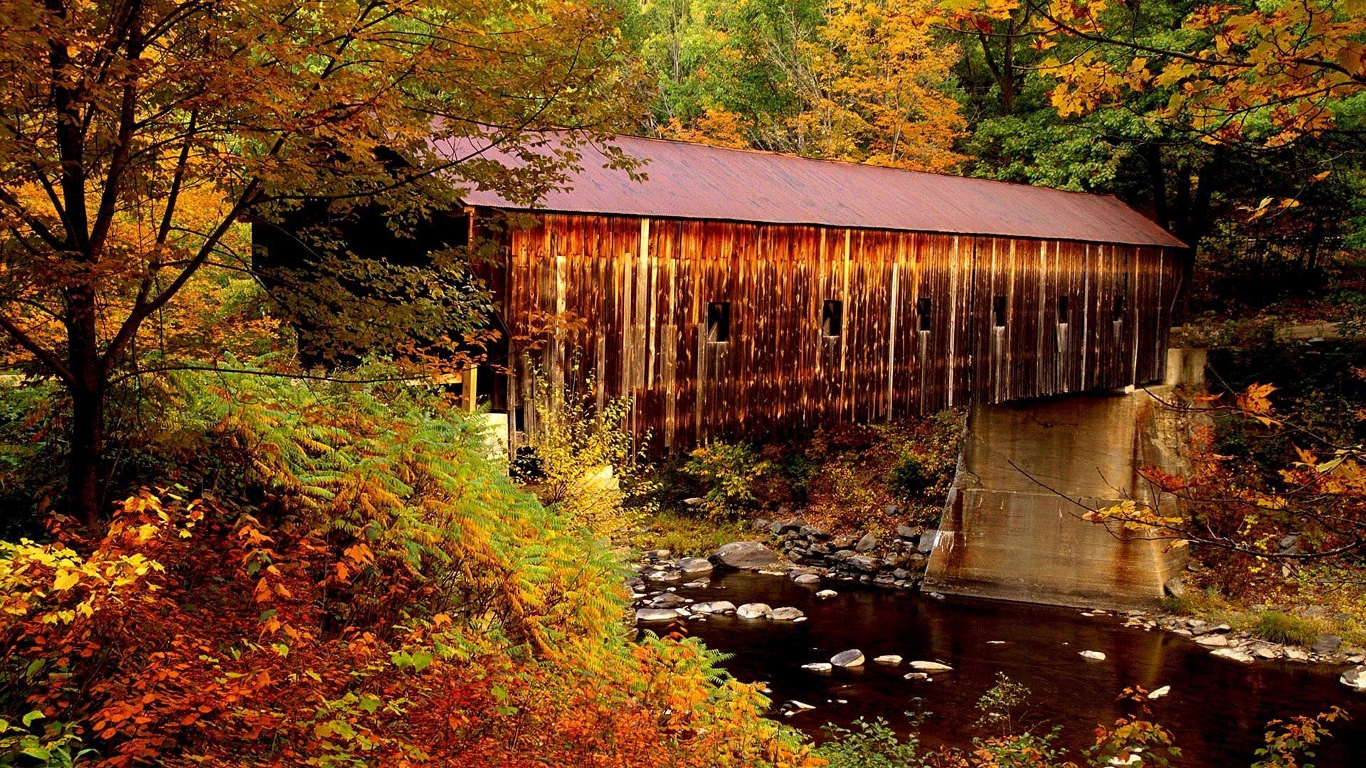 Herbst, Vermont, 3K, Natur, Desktop, 1920x1080 Full HD Desktop