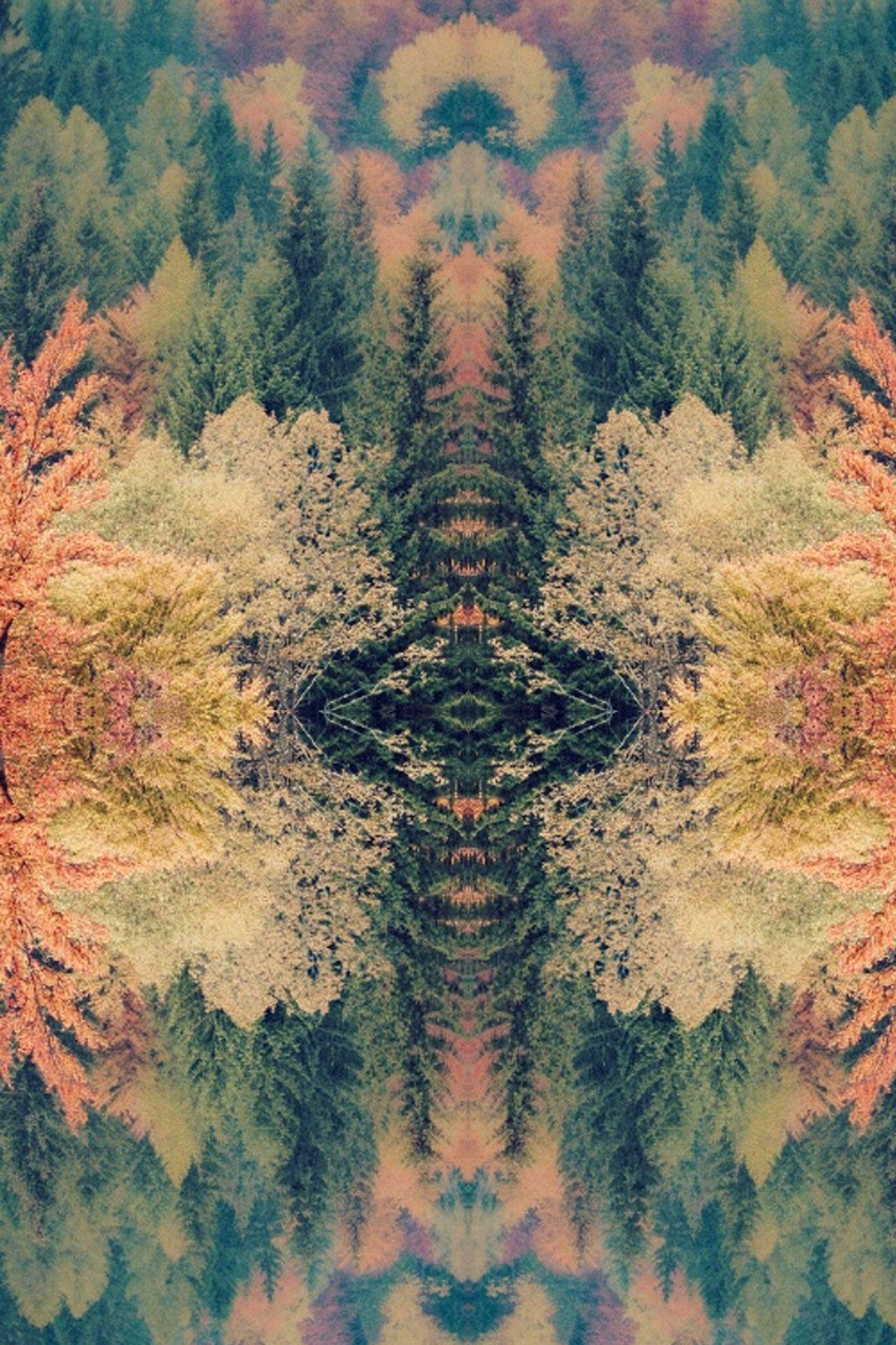 Tame Impala, Innerspeaker, Full HD, 1920x1080, PC, 1280x1920 HD Handy