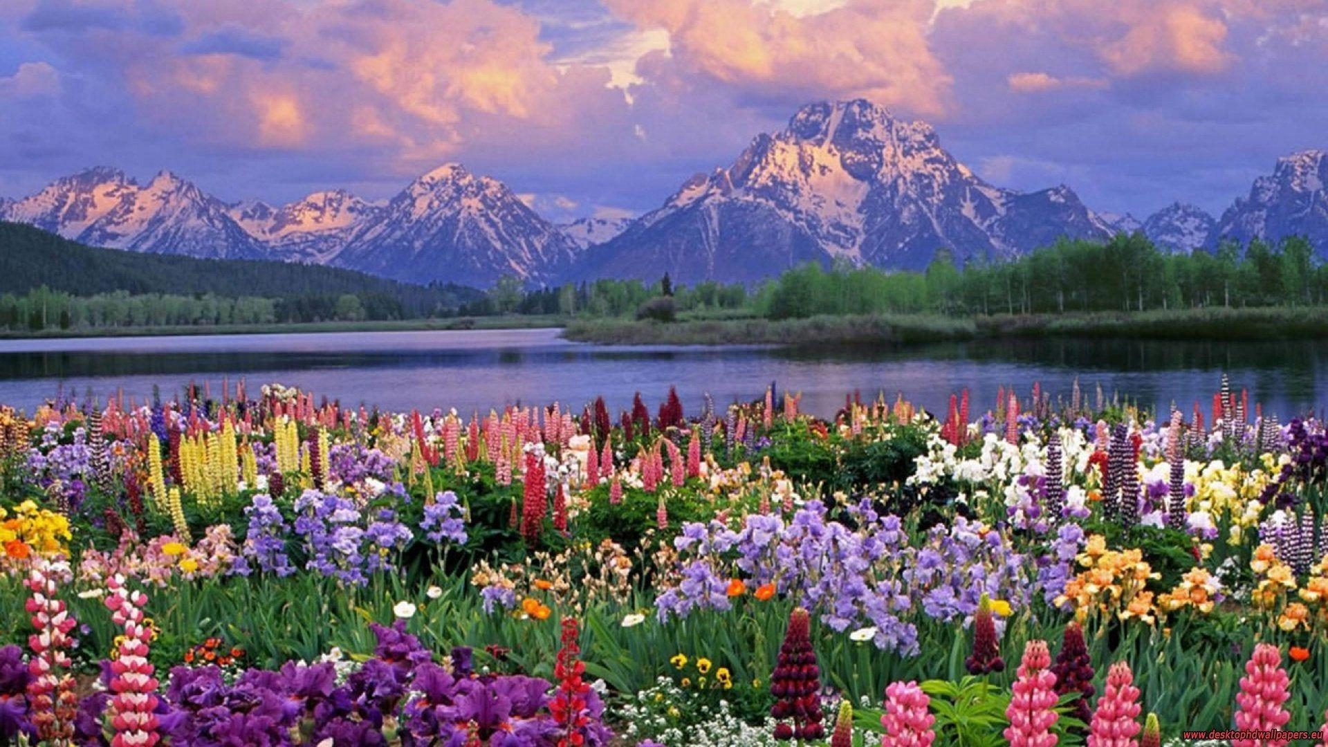 Mount Moran, Grand Teton, Wyoming, Nationalpark, USA, 1920x1080 Full HD Desktop