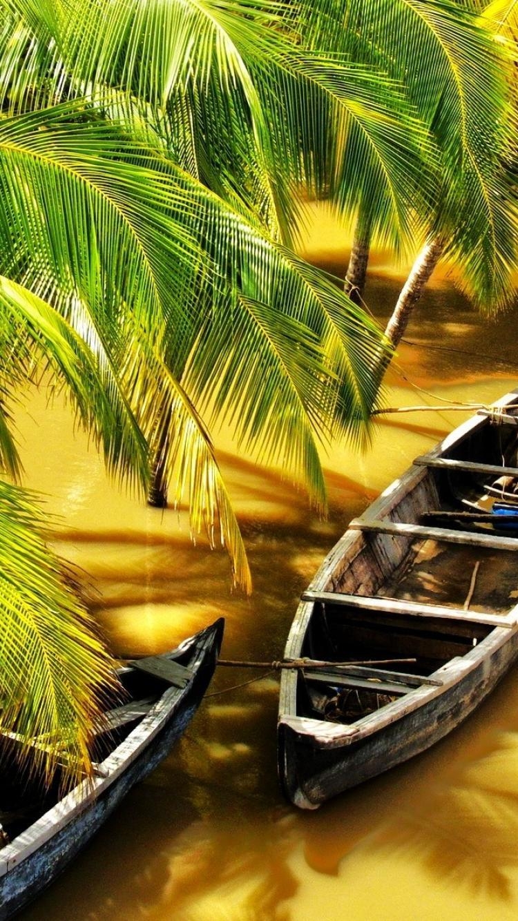 Kerala, Indien, Reisen, Natur, Kultur, 750x1340 HD Handy