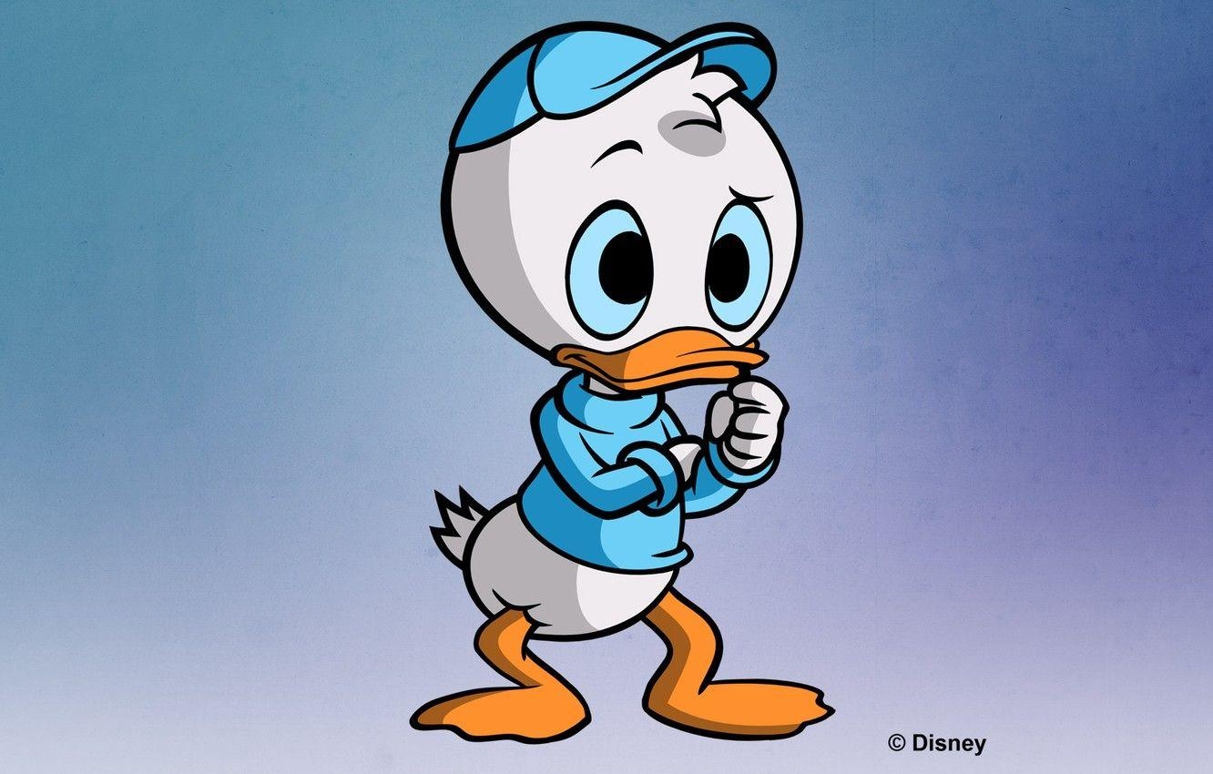 Disney, Dagobert Duck, Ducktales, Bild, Cartoon, 1340x850 HD Desktop