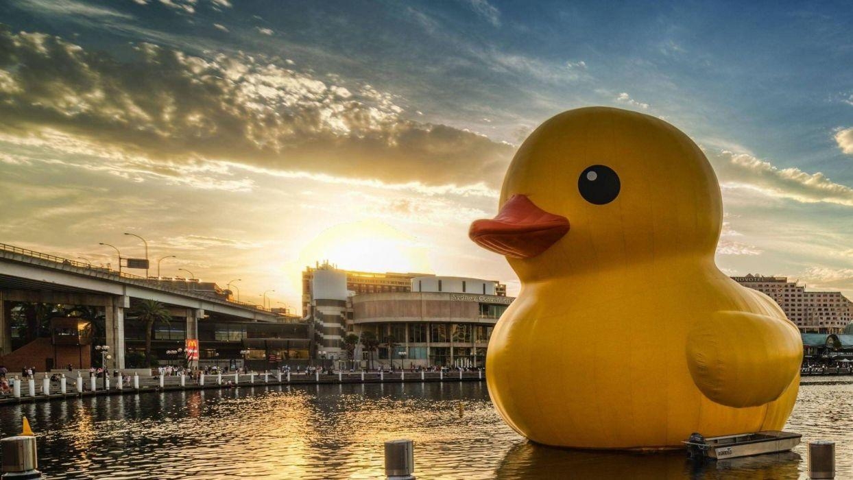 Gummi Enten, Sydney, Australien, Wasser, Boote, 1250x700 HD Desktop