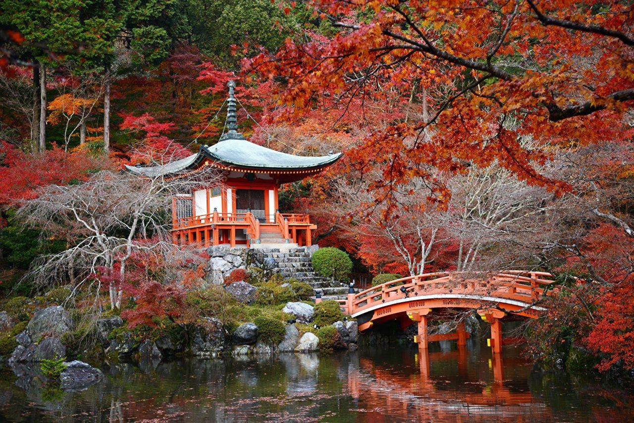 Kyoto, Japan, Herbst, Natur, Pagoden, 1280x860 HD Desktop