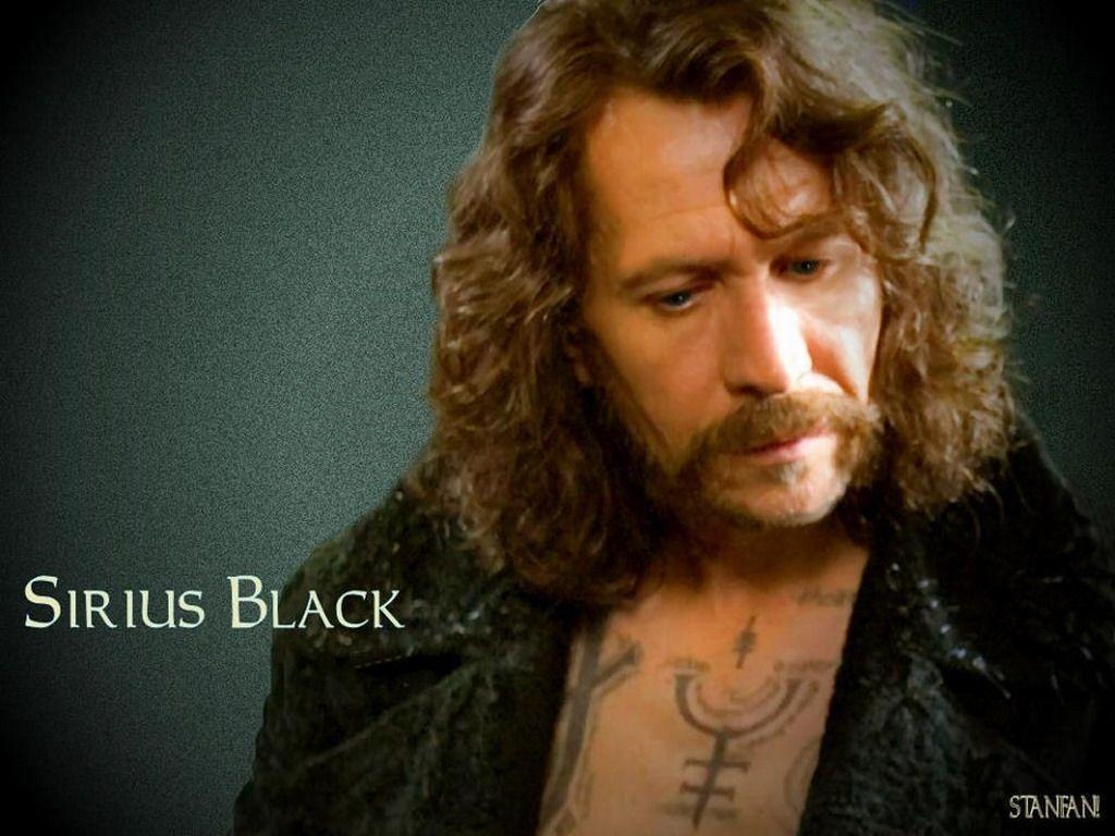 Sirius Black, Harry Potter, Fandom, Zauberer, Filme, 1030x770 HD Desktop