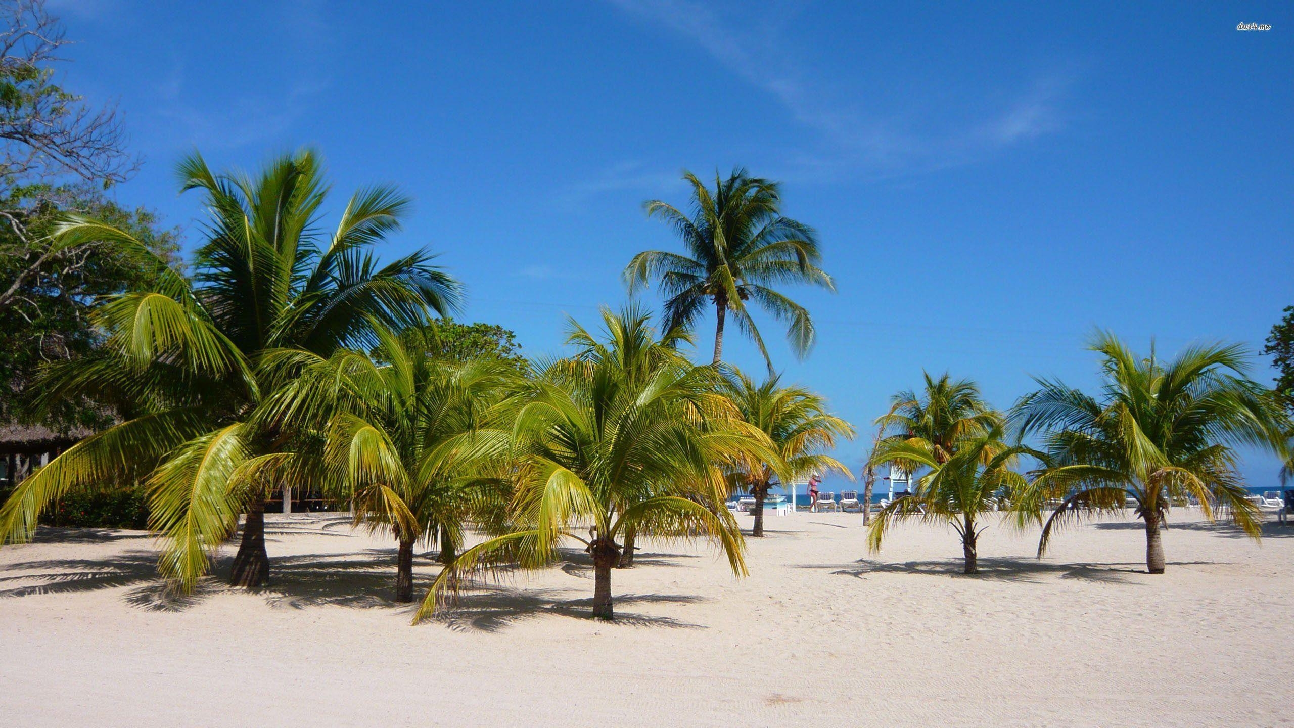 Haiti, Strand, Meer, Karibik, Friedlich, 2560x1440 HD Desktop