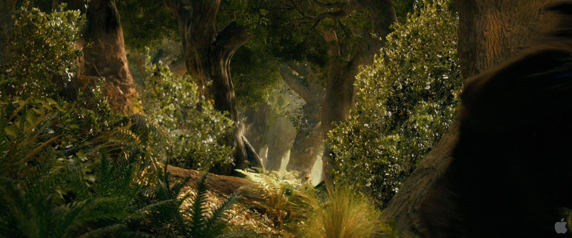 Mirkwood, Filme, Fantasy, Wald, Tolkien, 1920x800 Dual Screen Desktop