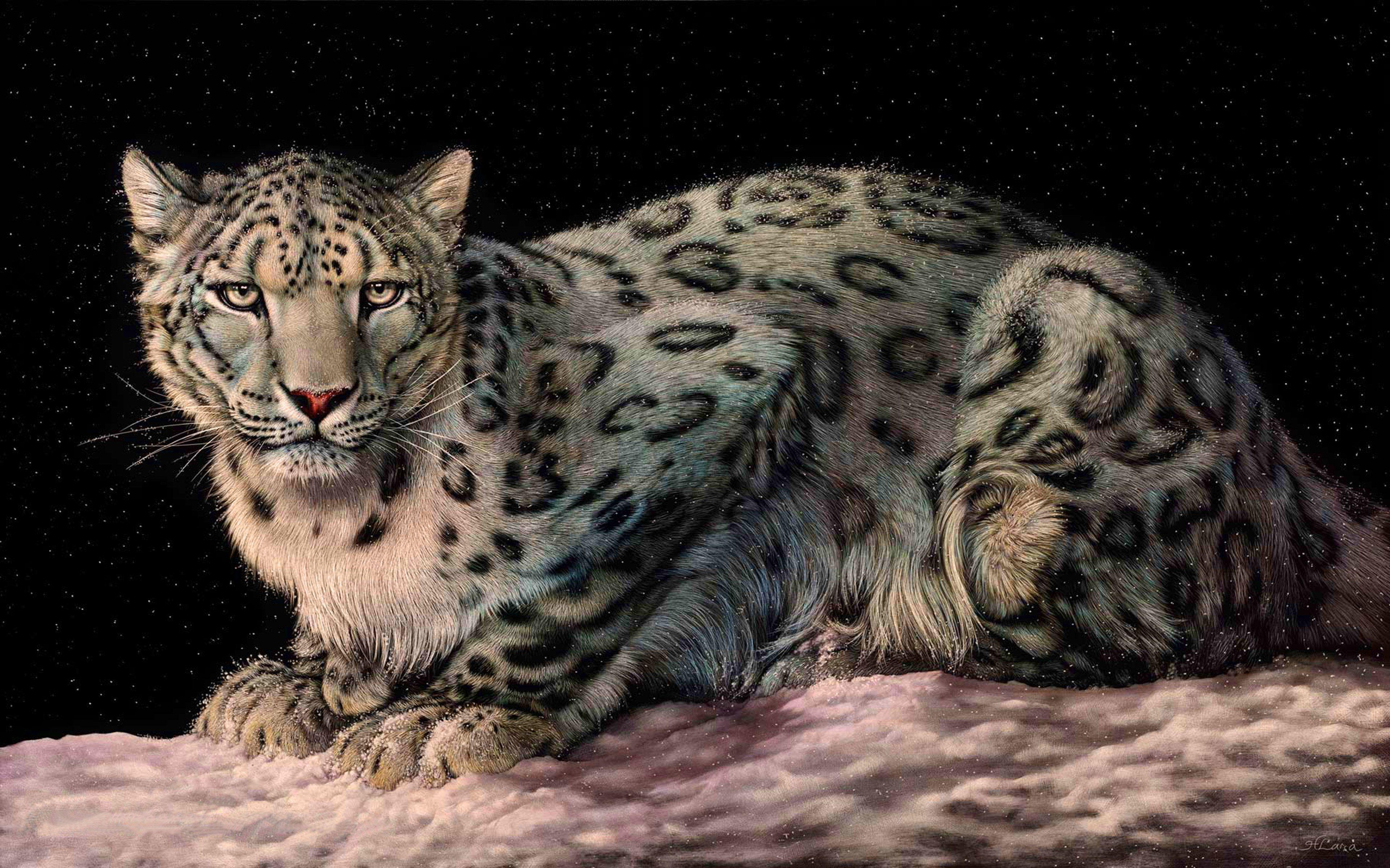 Leopard, 4K, Desktop, Mobil, Tierwelt, 3840x2400 4K Desktop