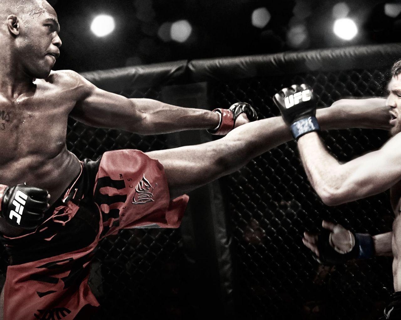 MMA, Ryan Bader, Kampfsport, Fight, Jon Jones, 1280x1030 HD Desktop