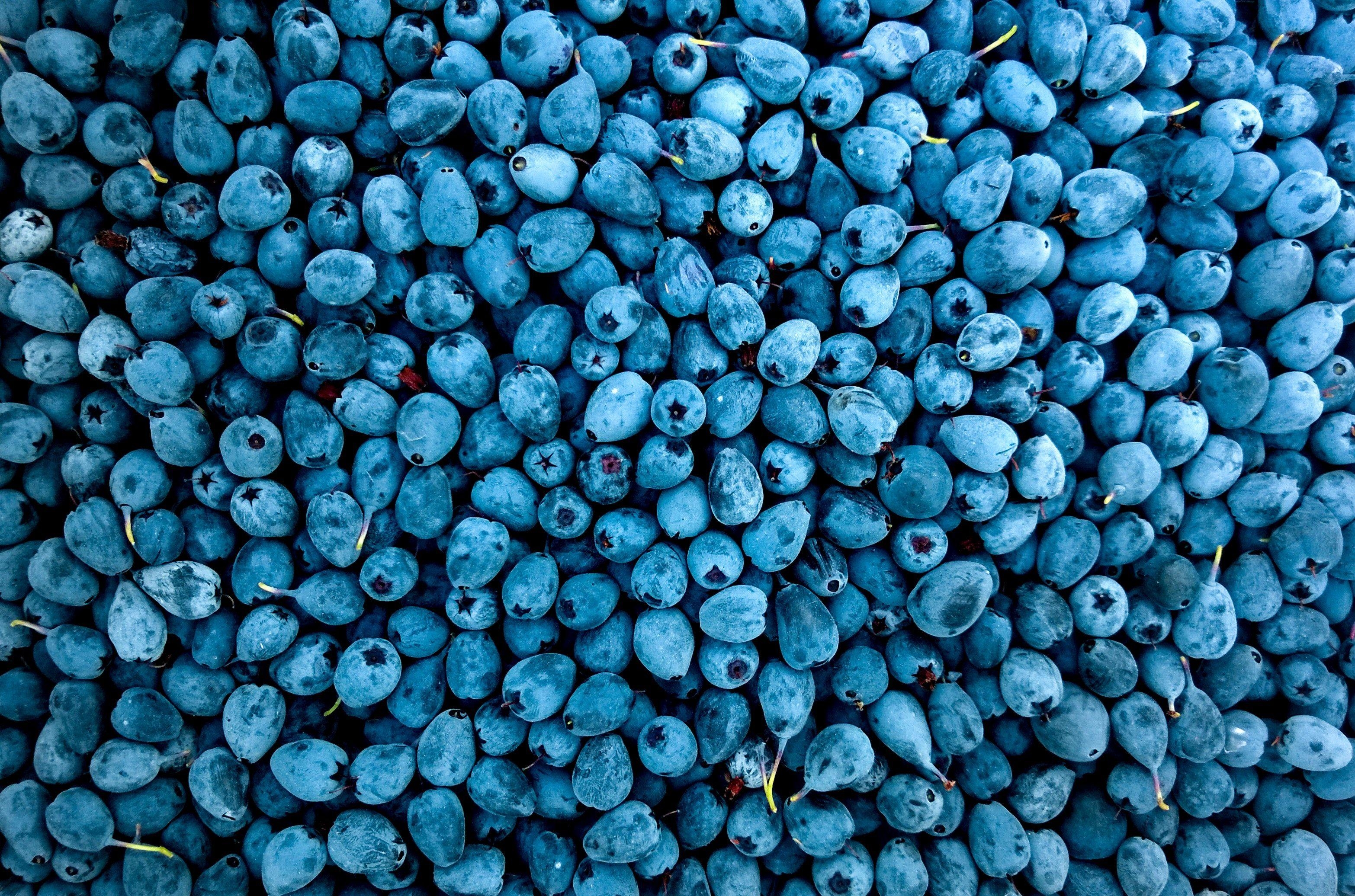 Blaubeeren, HD, Nahrung, 4K, Hintergrund, 3140x2080 HD Desktop