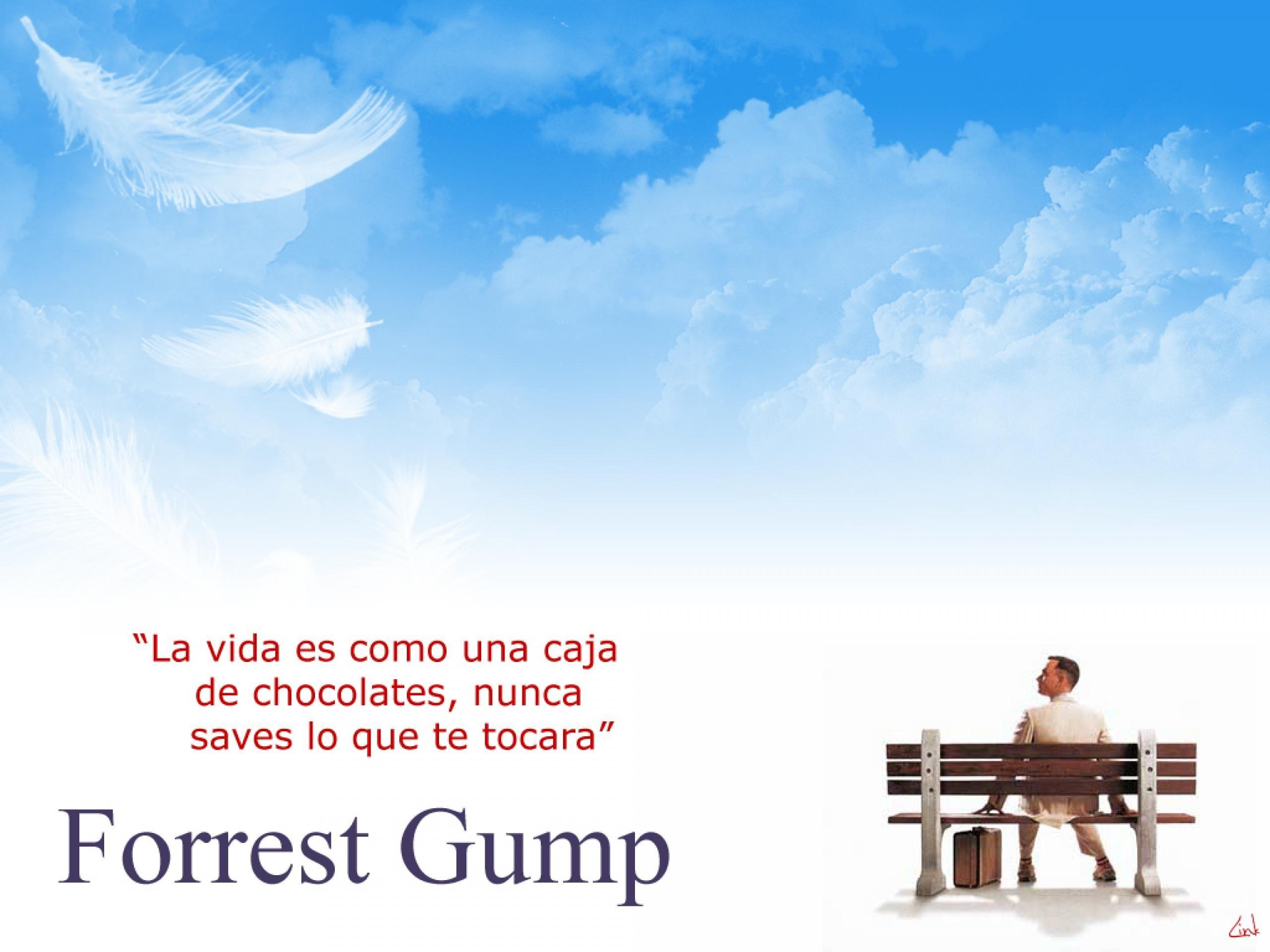 Forrest Gump, 1024x768, Film, Tom Hanks, Drama, 2560x1920 HD Desktop